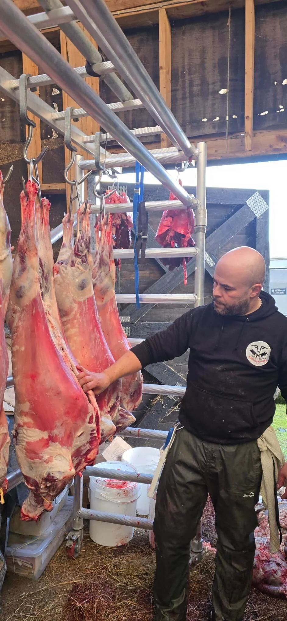 Richard in his Green Fields Home Kill and Butchery branded top inspecting and touching a freshly slaughtered lamb carcass during the home kill process