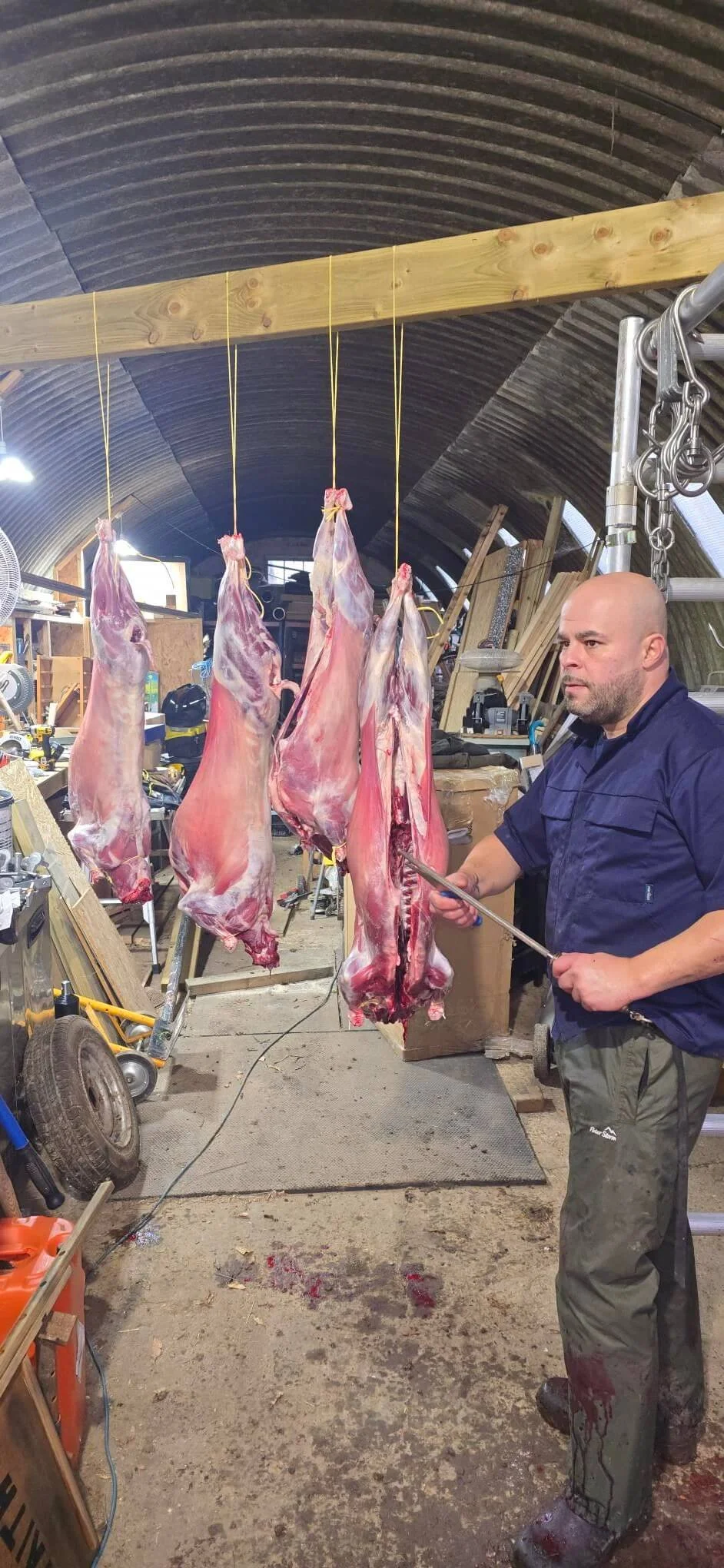 Richard from Green Fields Home Kill and Butchery sharpening a knife in front of freshly hung lamb carcasses during the butchery process