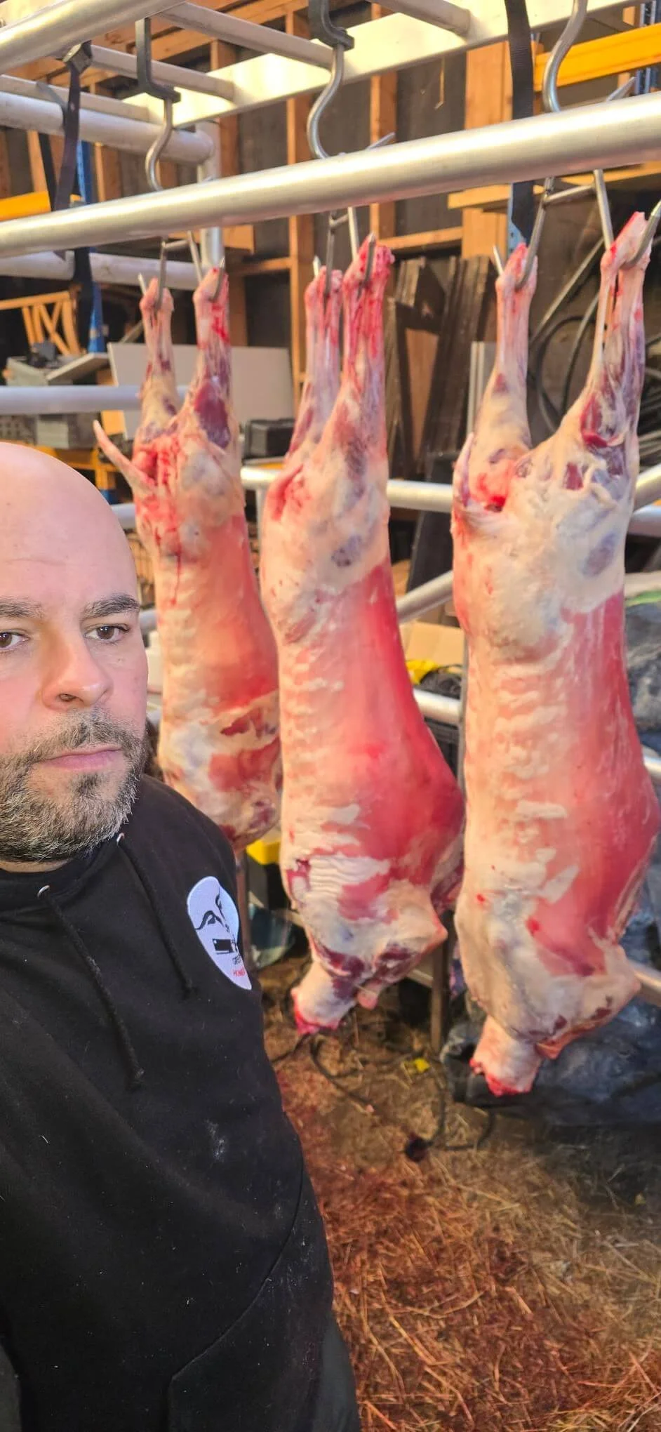 Richard from Green Fields Home Kill and Butchery photographed in front of lamb carcasses hanging after on-smallholding slaughter
