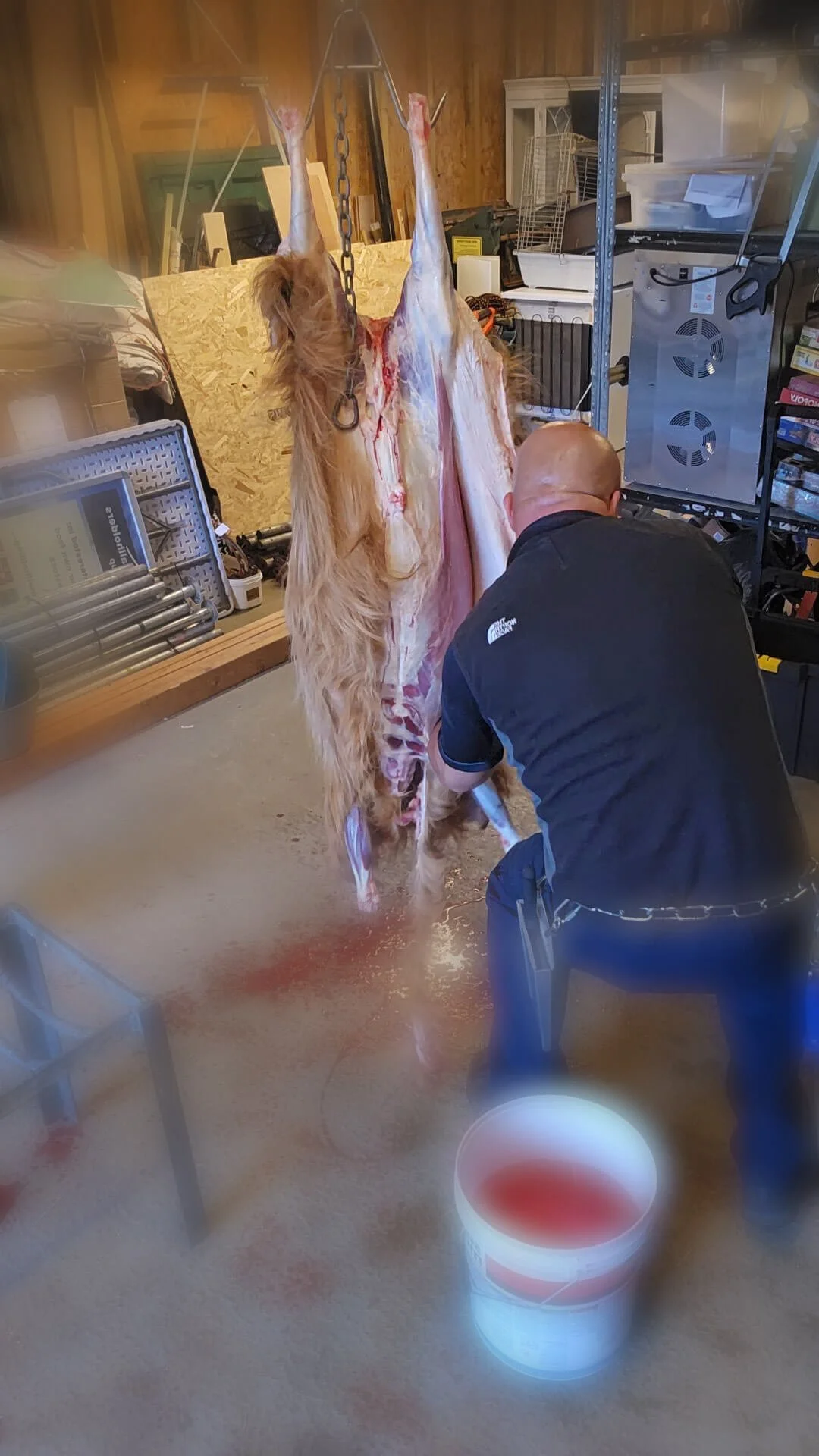 Richard from Greenfields Home Kill and Butchery skinning a lamb carcass from an on-site farm home kill