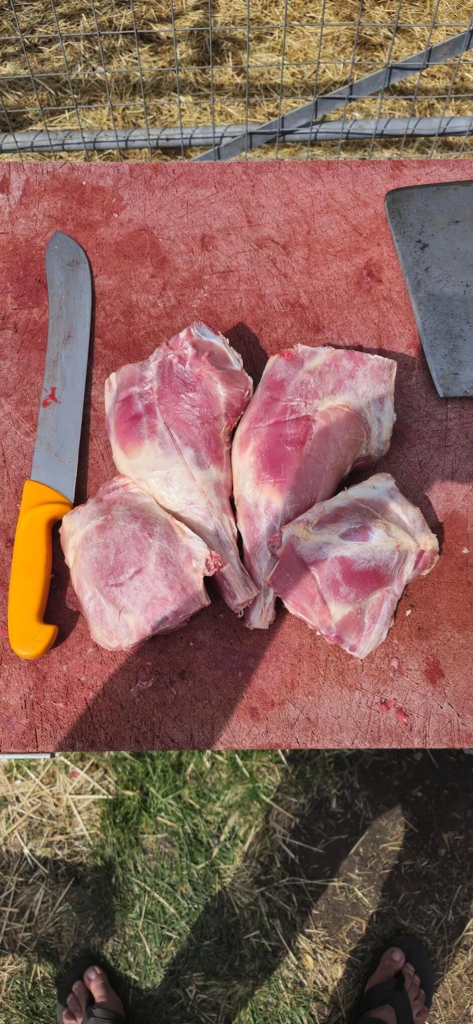 Lamb meat professionally butcher by Green Fields Home Kill and Butchery