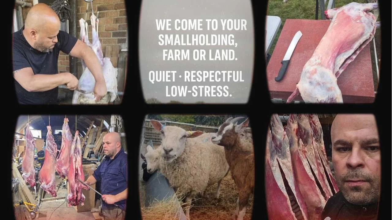 Hero image for Green Fields Home Kill and Butchery Mobile Slaughter service, showing an image that "We come to your smallholding farm or land. Quiet, Respectful and Low-stress, along wth images of on farm lamb and goat processing and butchery