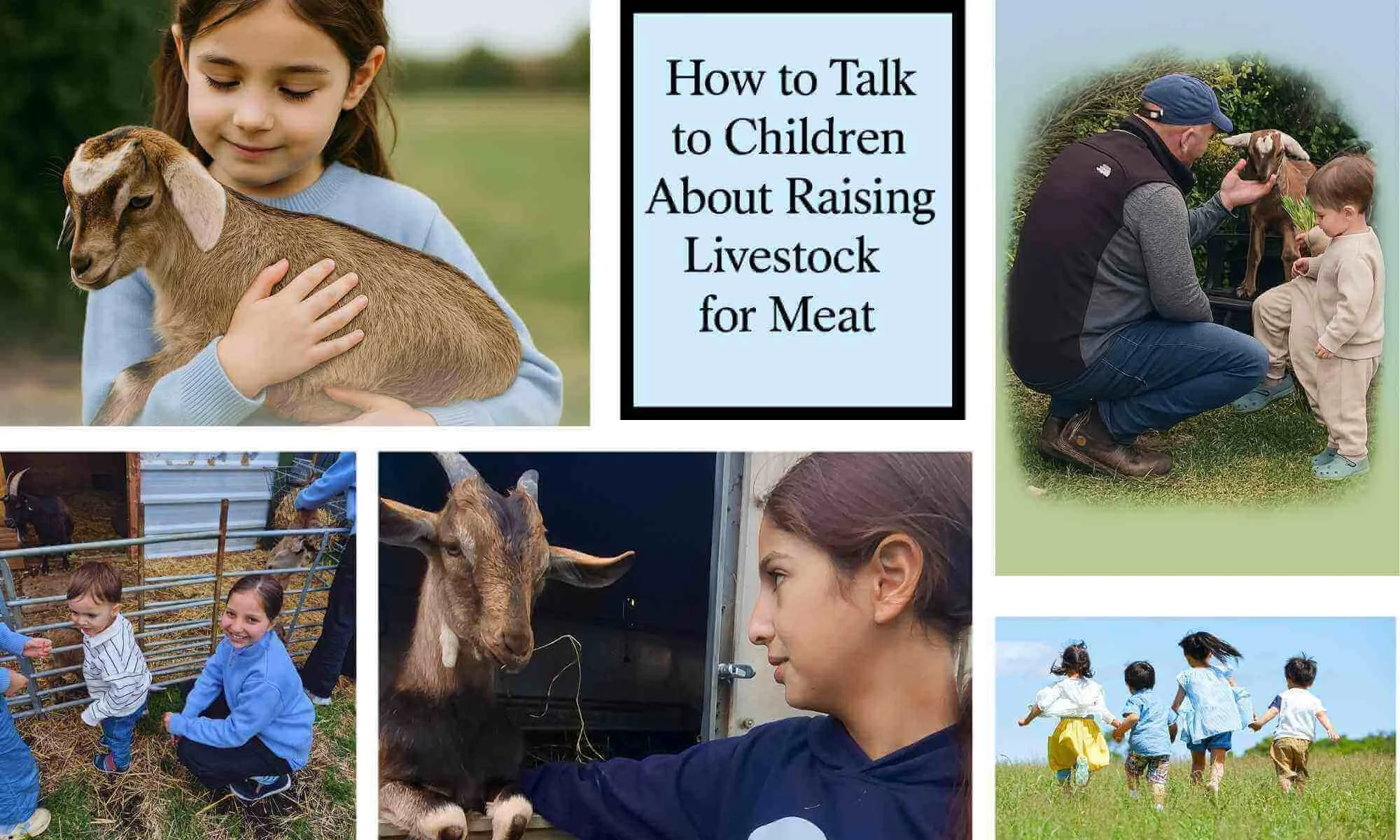 Collage of children and adults calmly interacting with goats and sheep on a smallholding, alongside text reading "How to Talk to Children About Raising Livestock fo Meat" showing gentle handling, learning and connection to animals in a rural setting