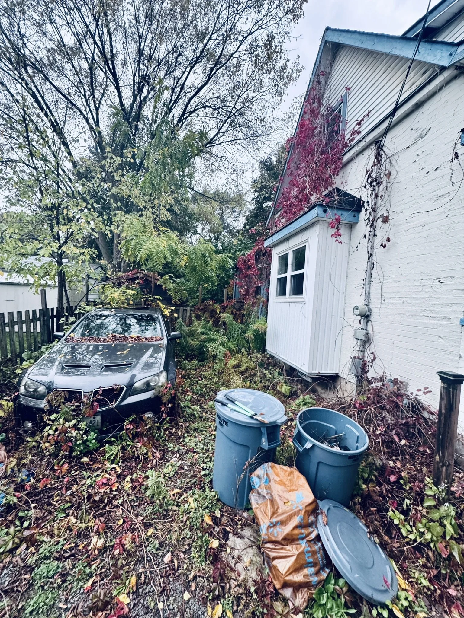 Driveway Pre Cleanup