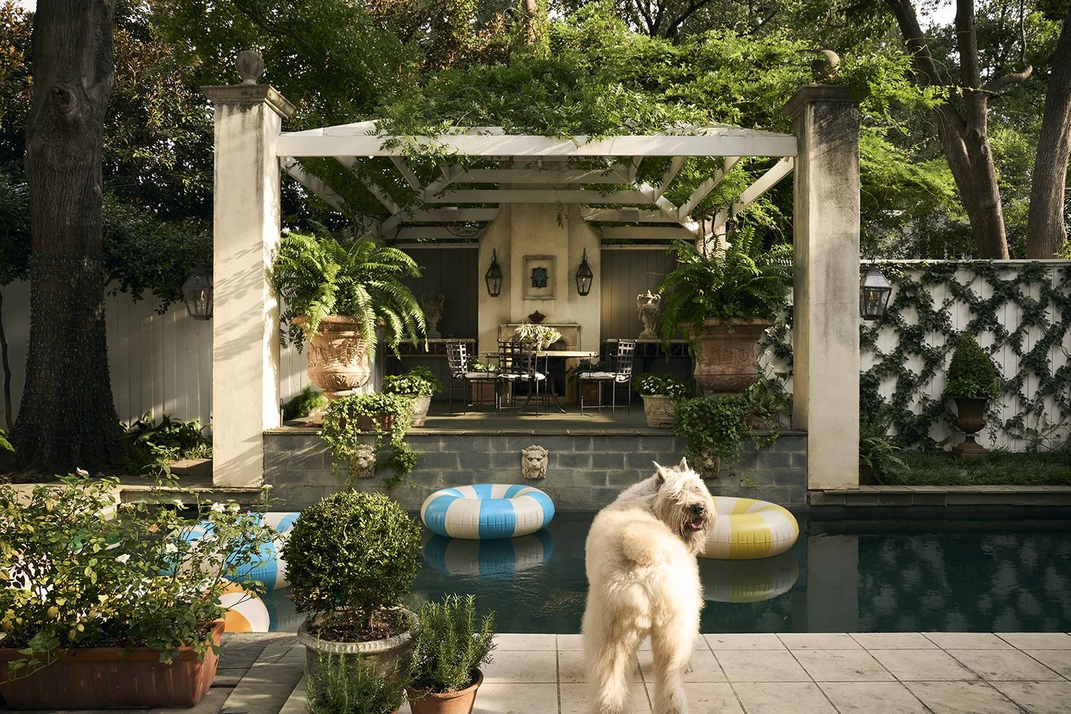 PB-PaperCityNov25-Hawthorne_Backyard_V1.jpg