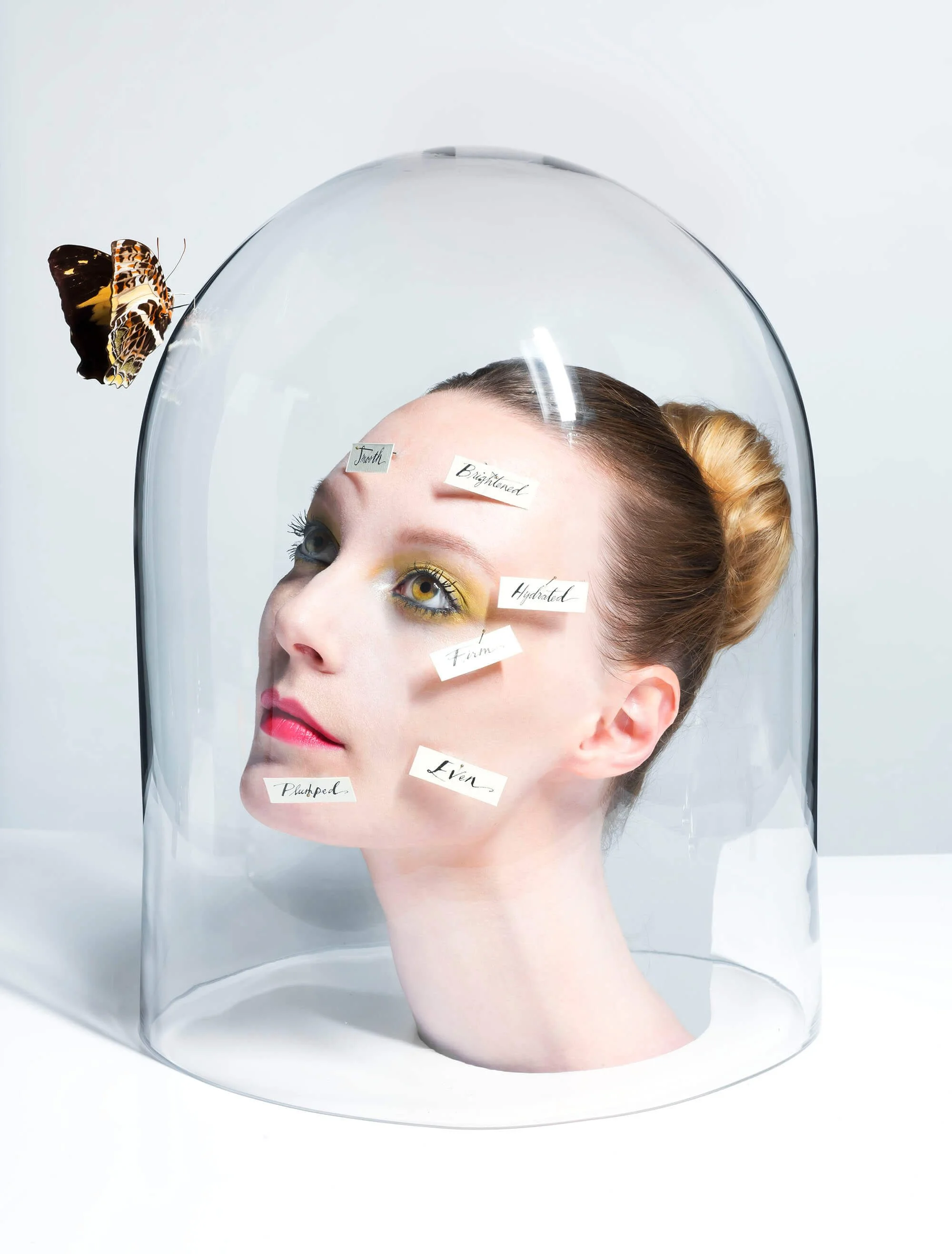 butterfly.jpg