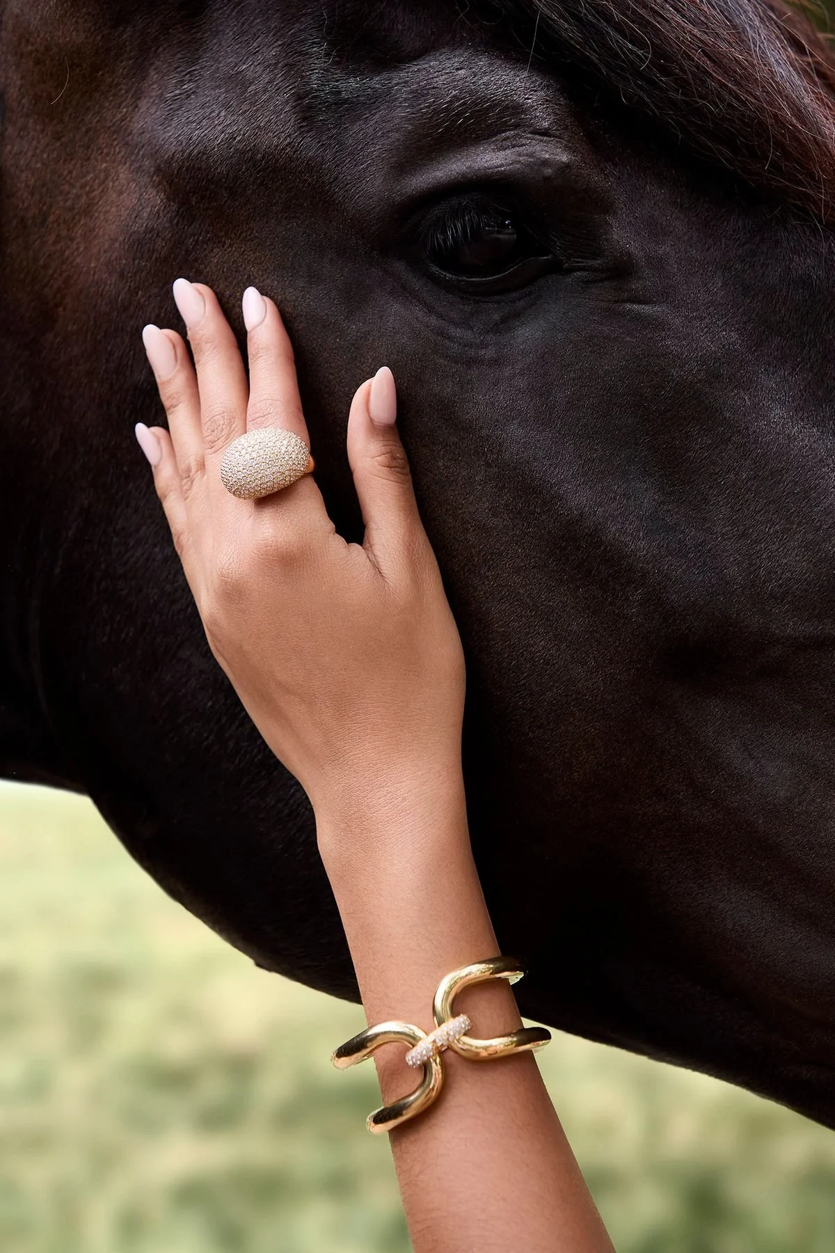 10_DeBoulle_Horse_Stills_v171.jpg.jpeg