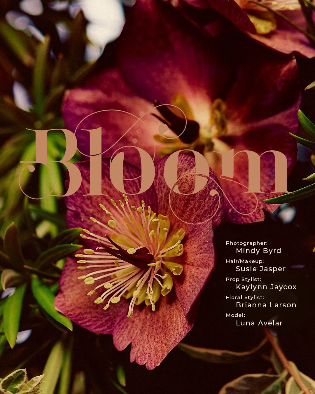 BL-Bloom-01.jpeg