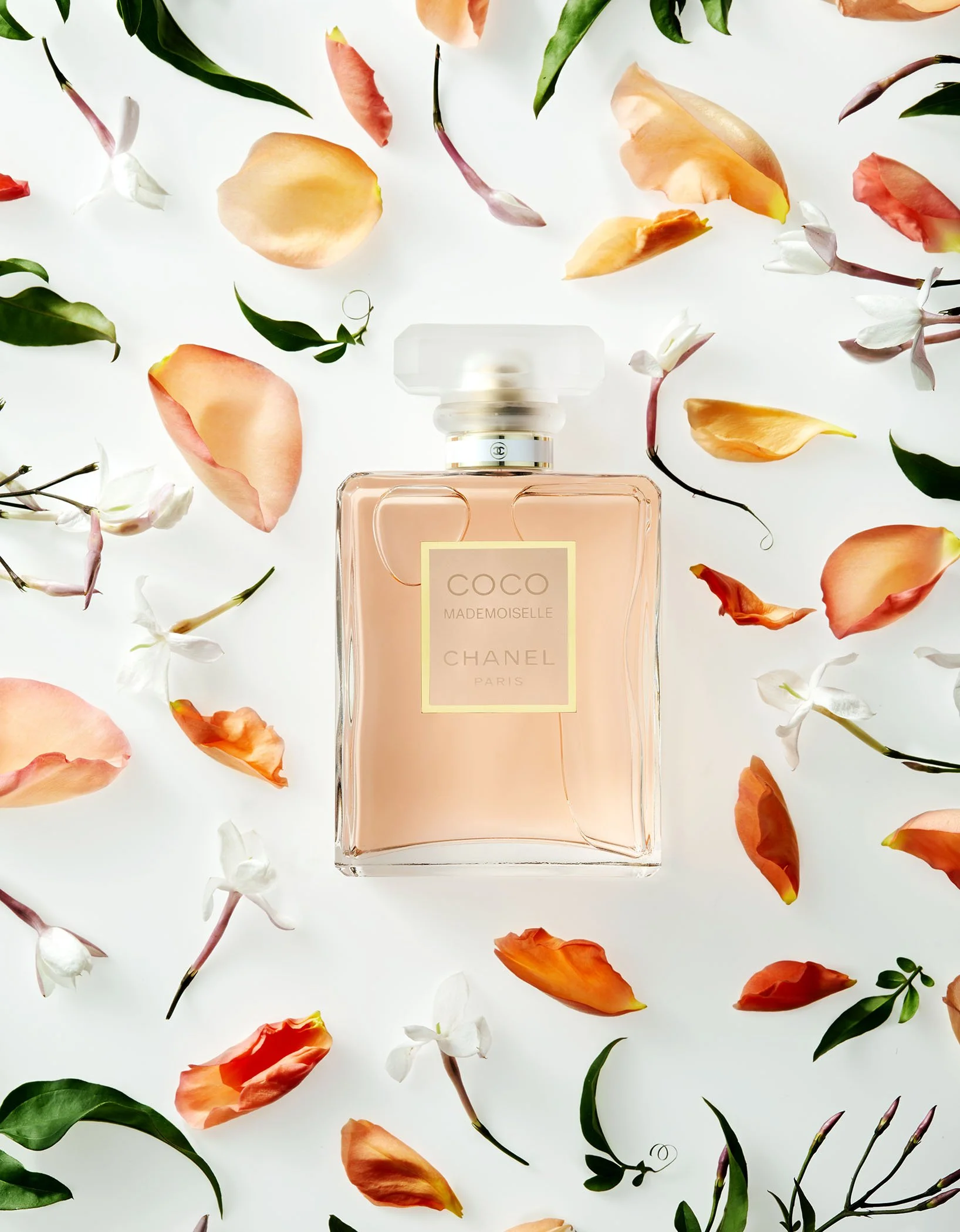 58_Floral_Coco.jpg.jpeg