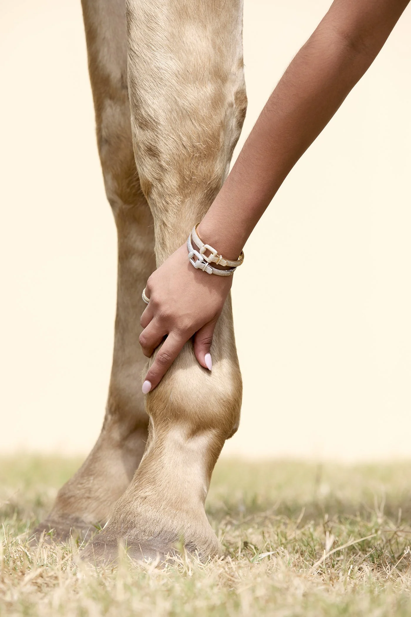 51_DeBoulle_Horse_Stills_v161.jpg.jpeg