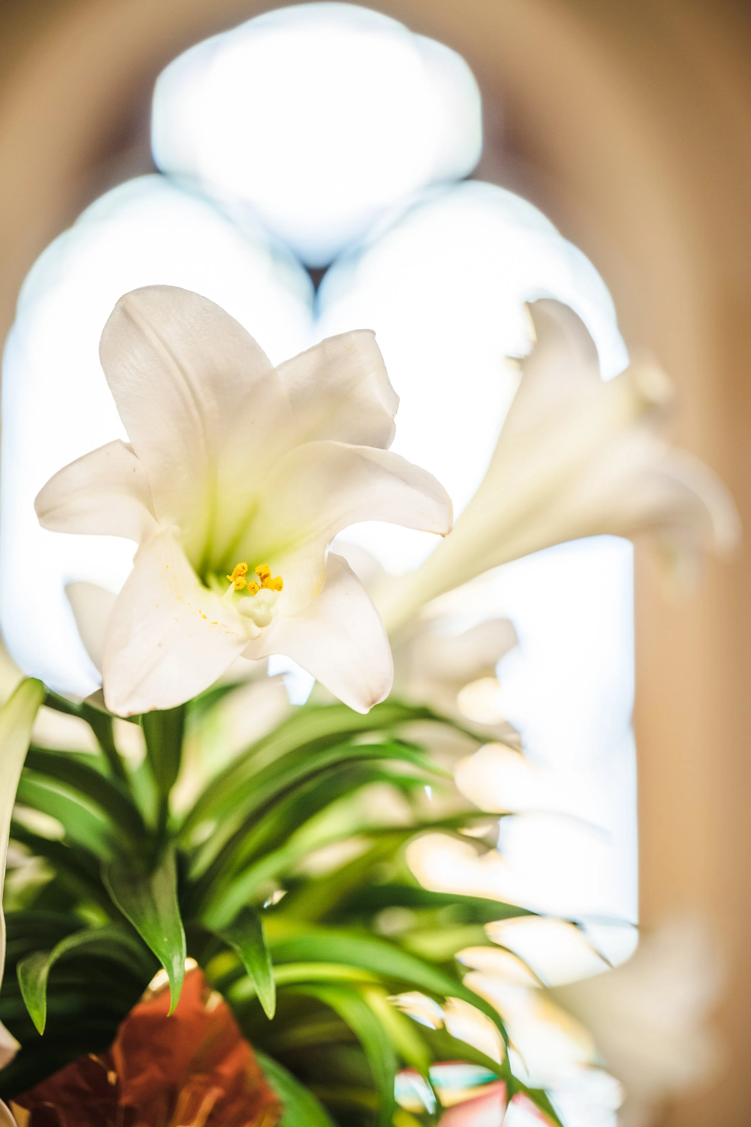 Sunday Service and Communion