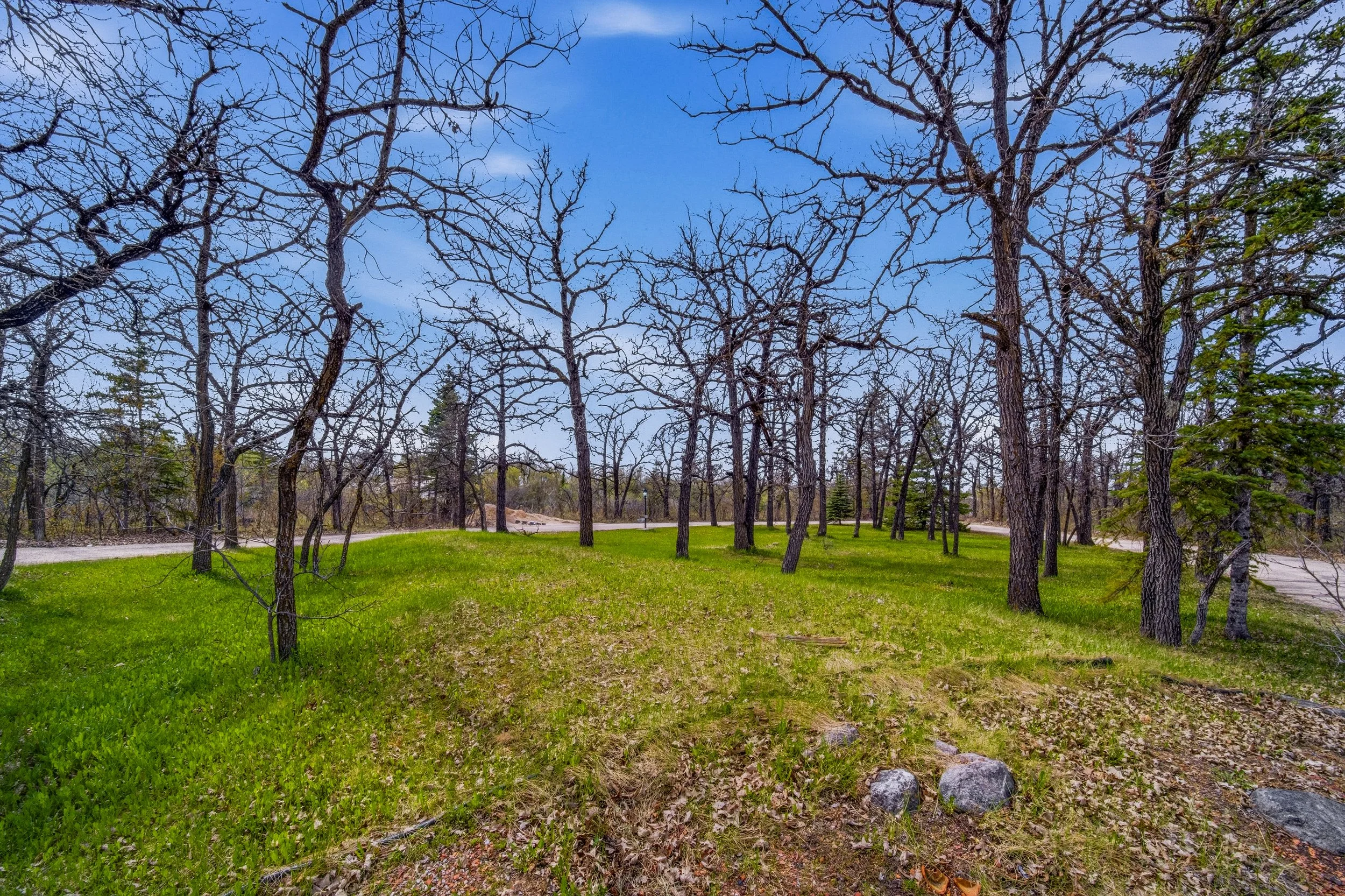 SMI_059.jpg