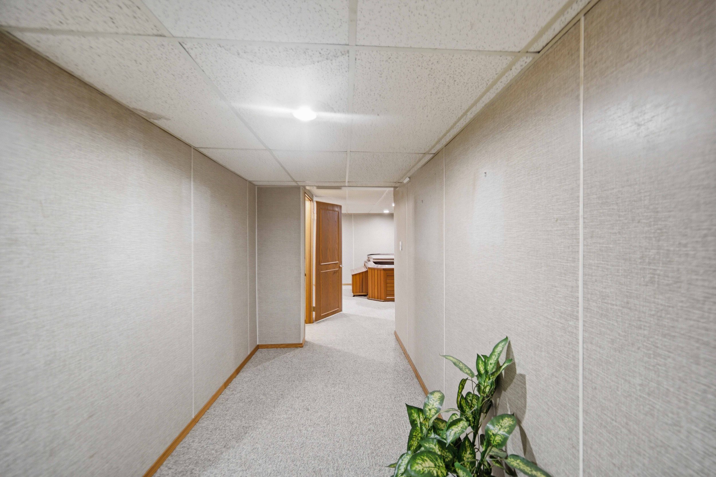 SMI_041.jpg