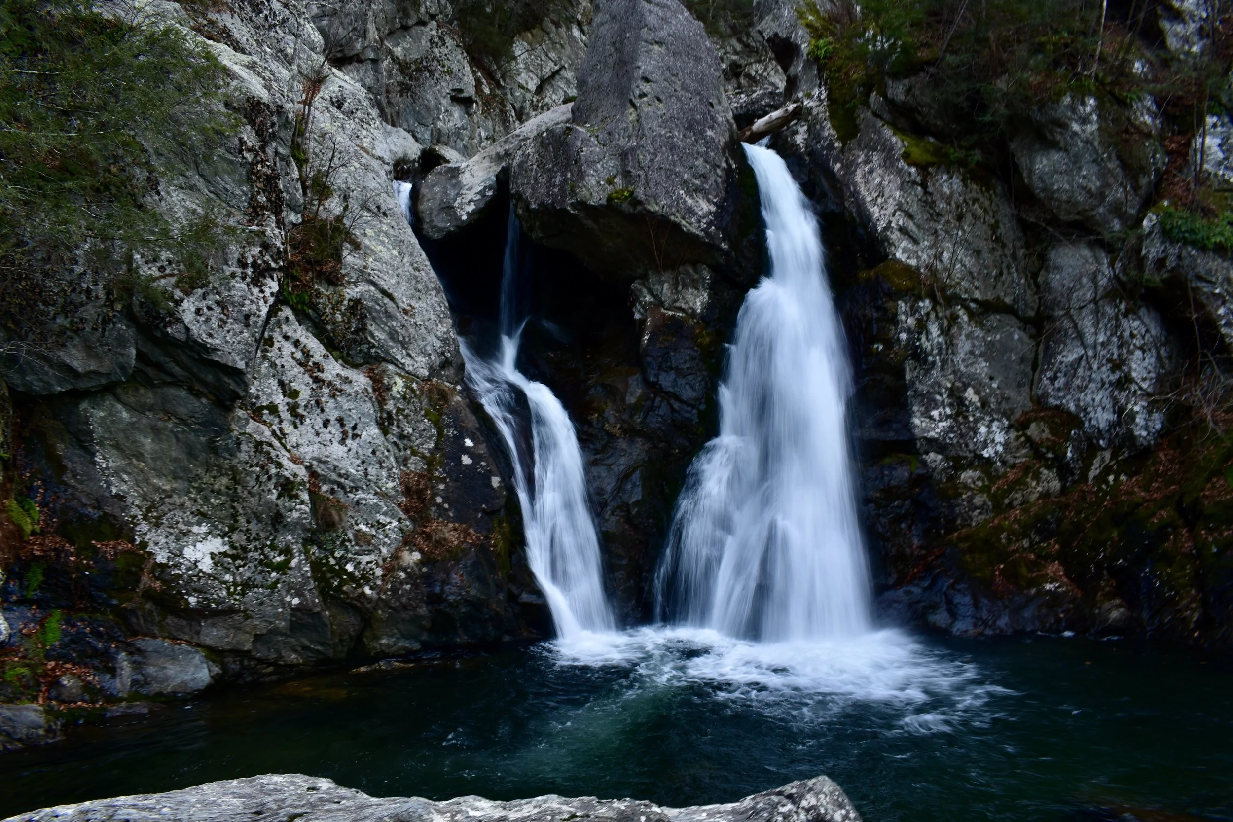 DSC_0318.JPG