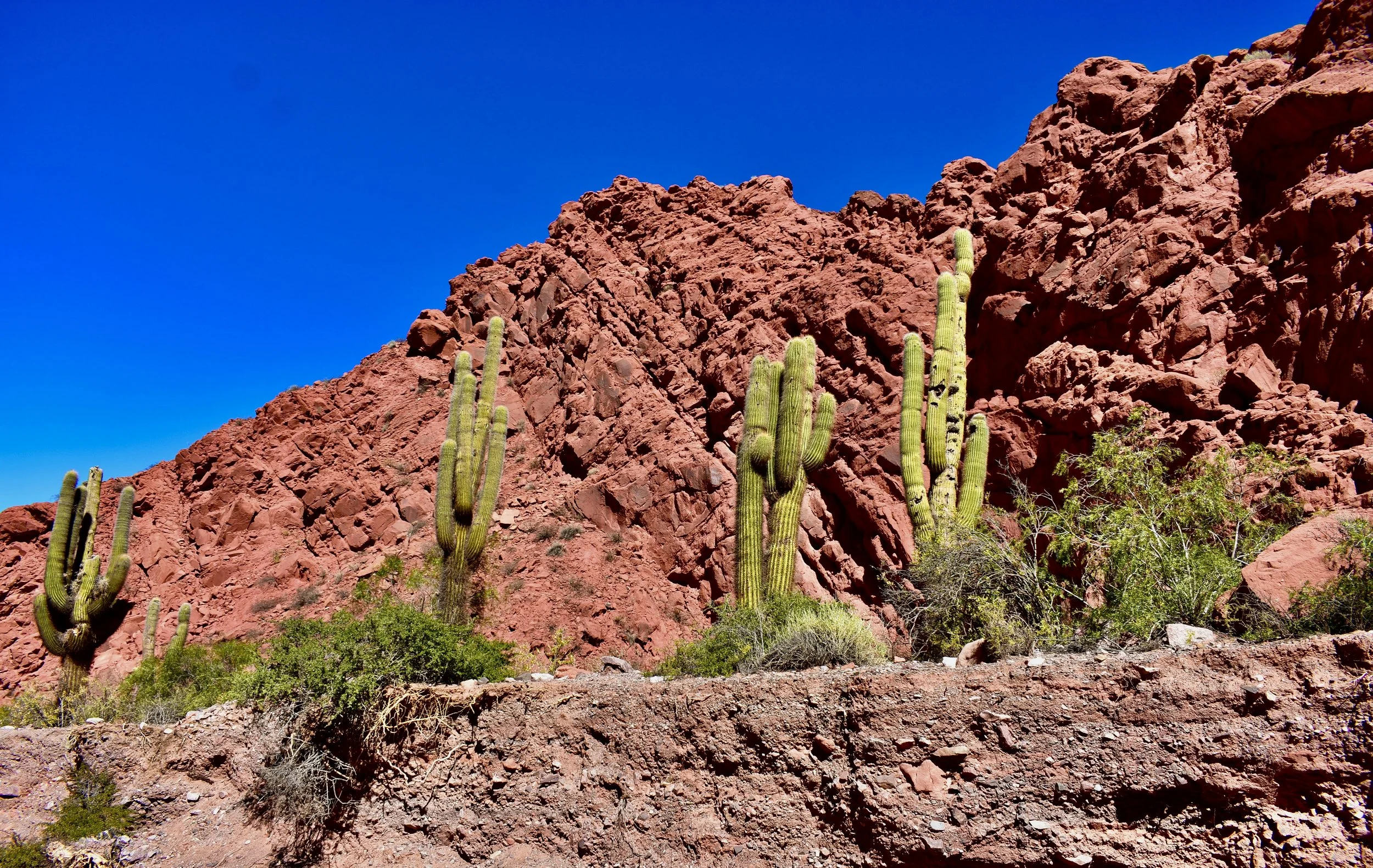 DSC_0610.JPG
