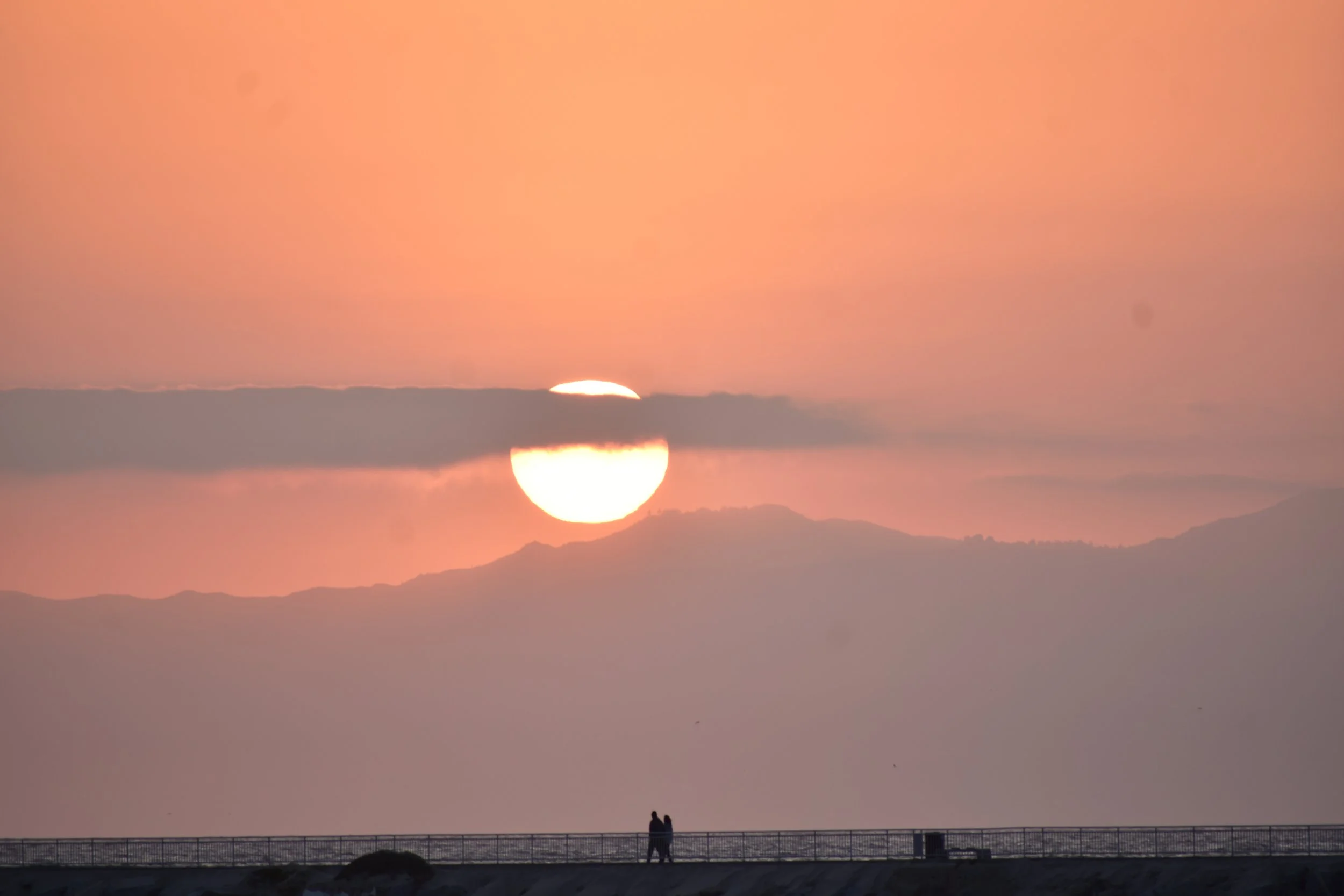 DSC_1356.JPG