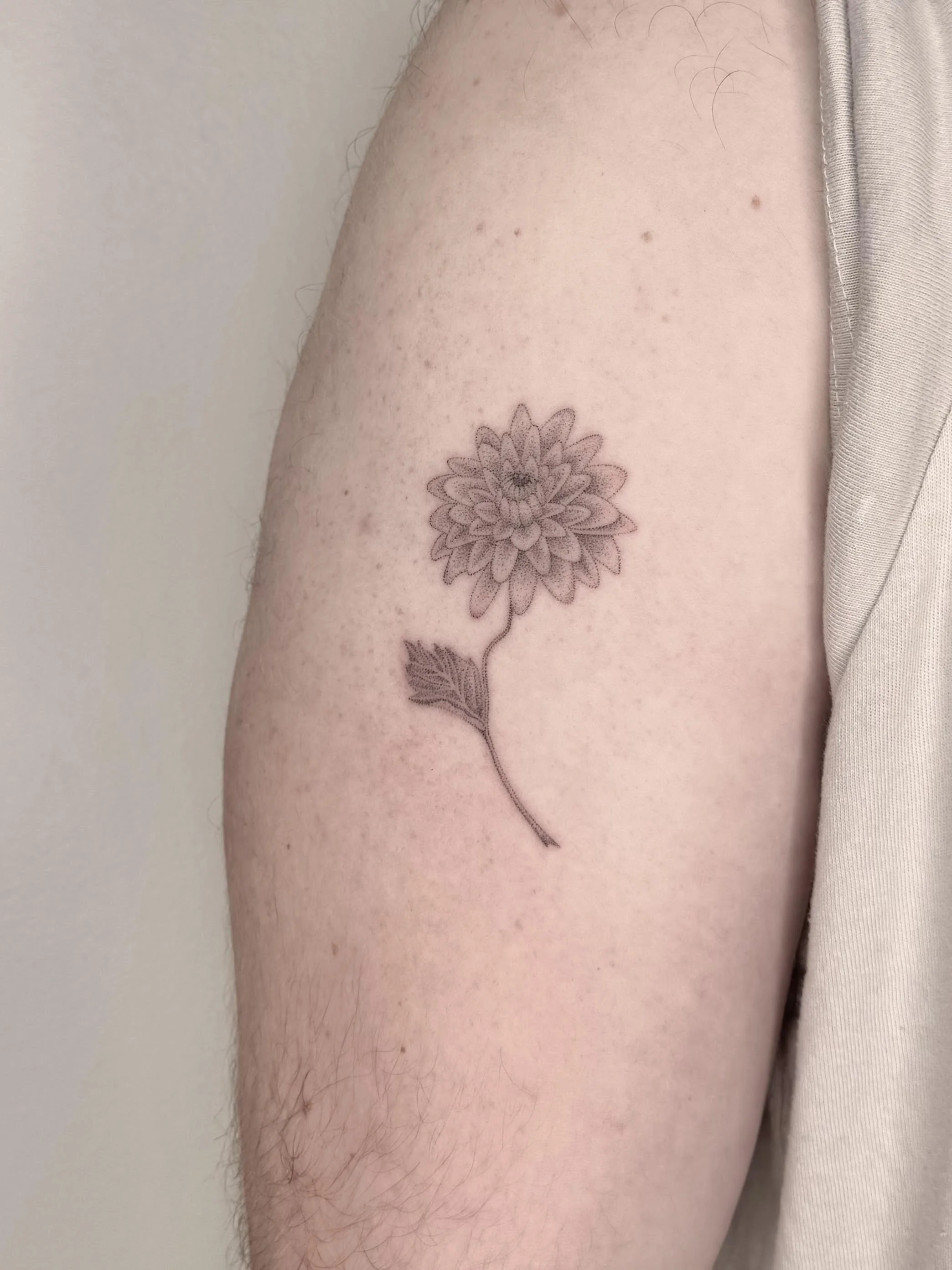 unnamed-6.jpg