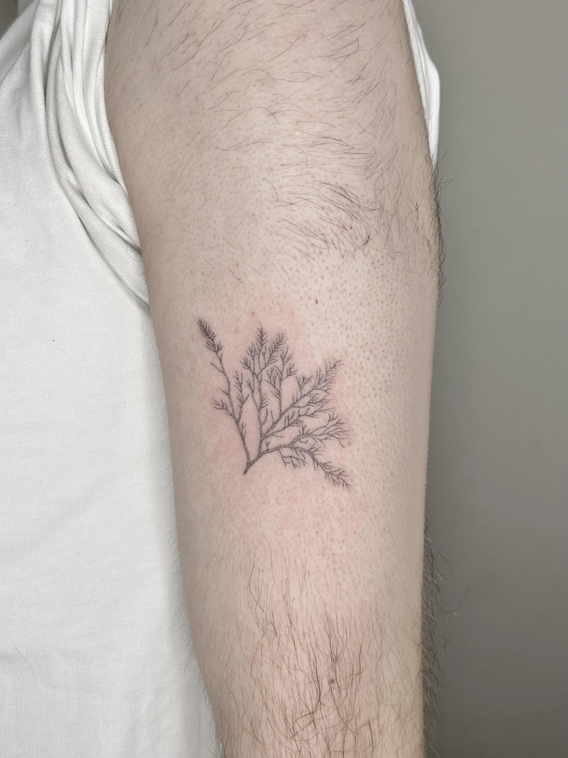 unnamed-37.jpg