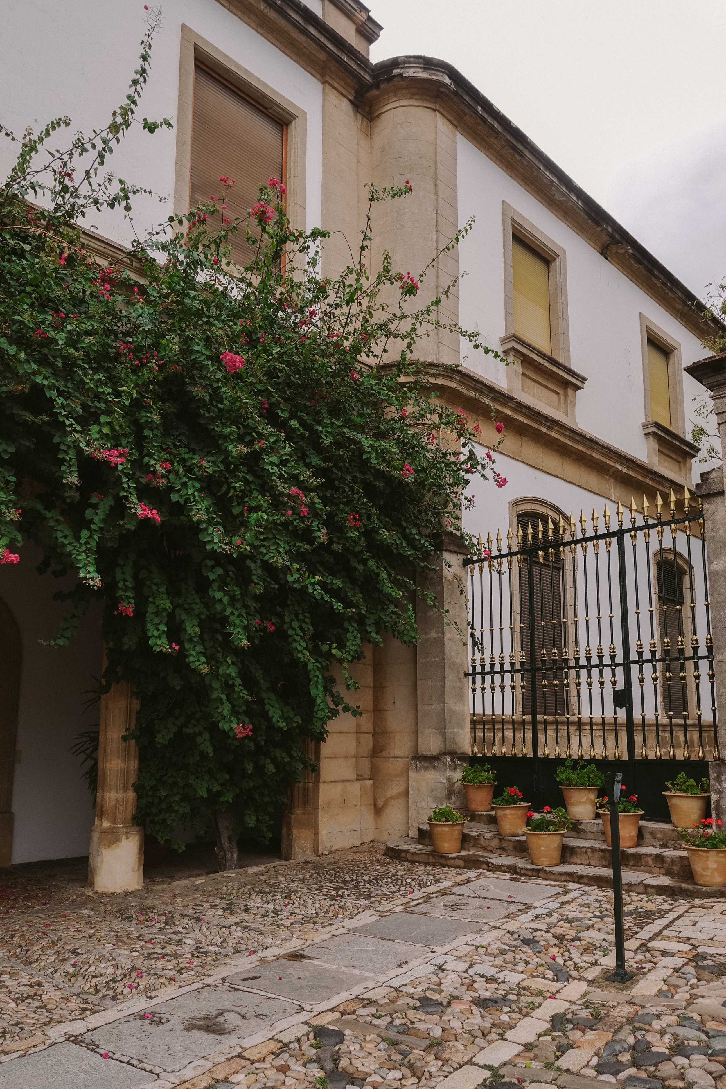 Jerez-1.jpg