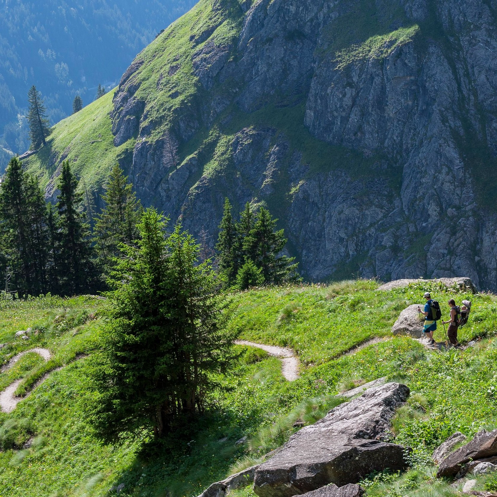 a_family_summer_hike.jpg