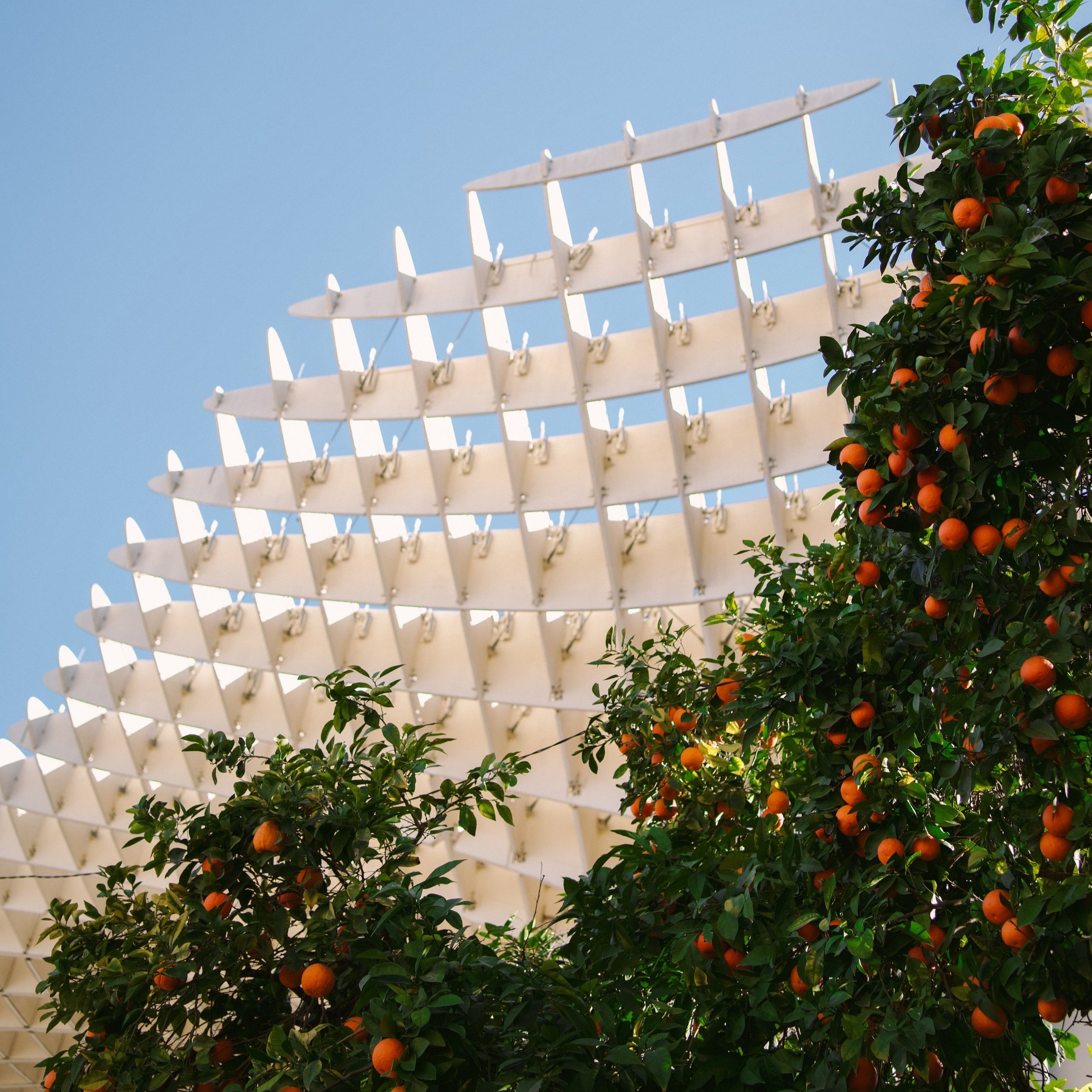 Seville-1.jpg