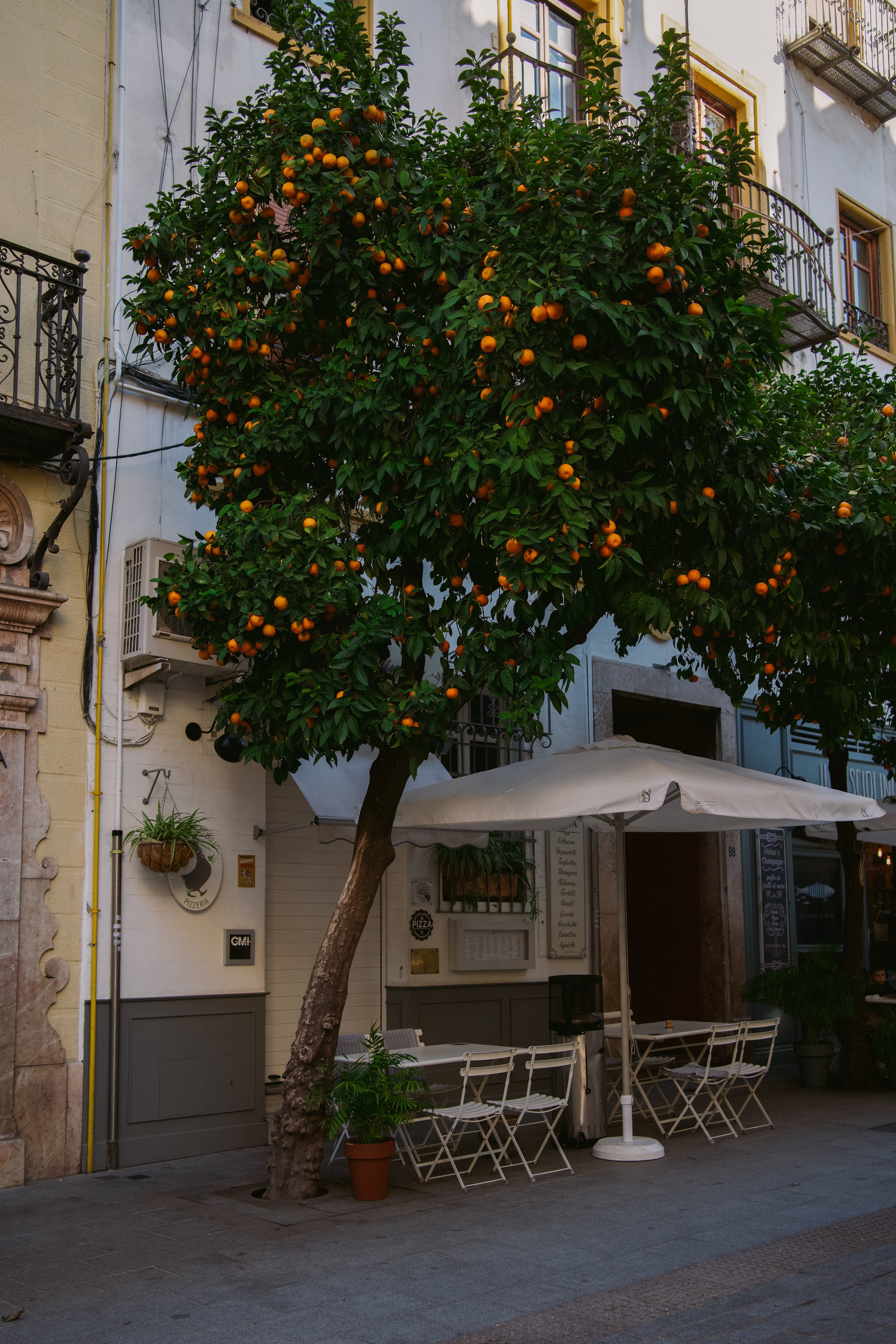 Seville-4.jpg