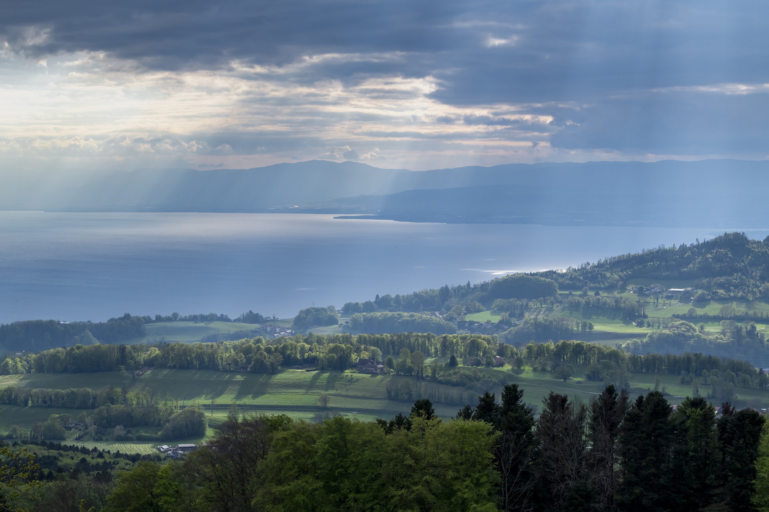 mt_pèlerin_springtime_view-1.jpg
