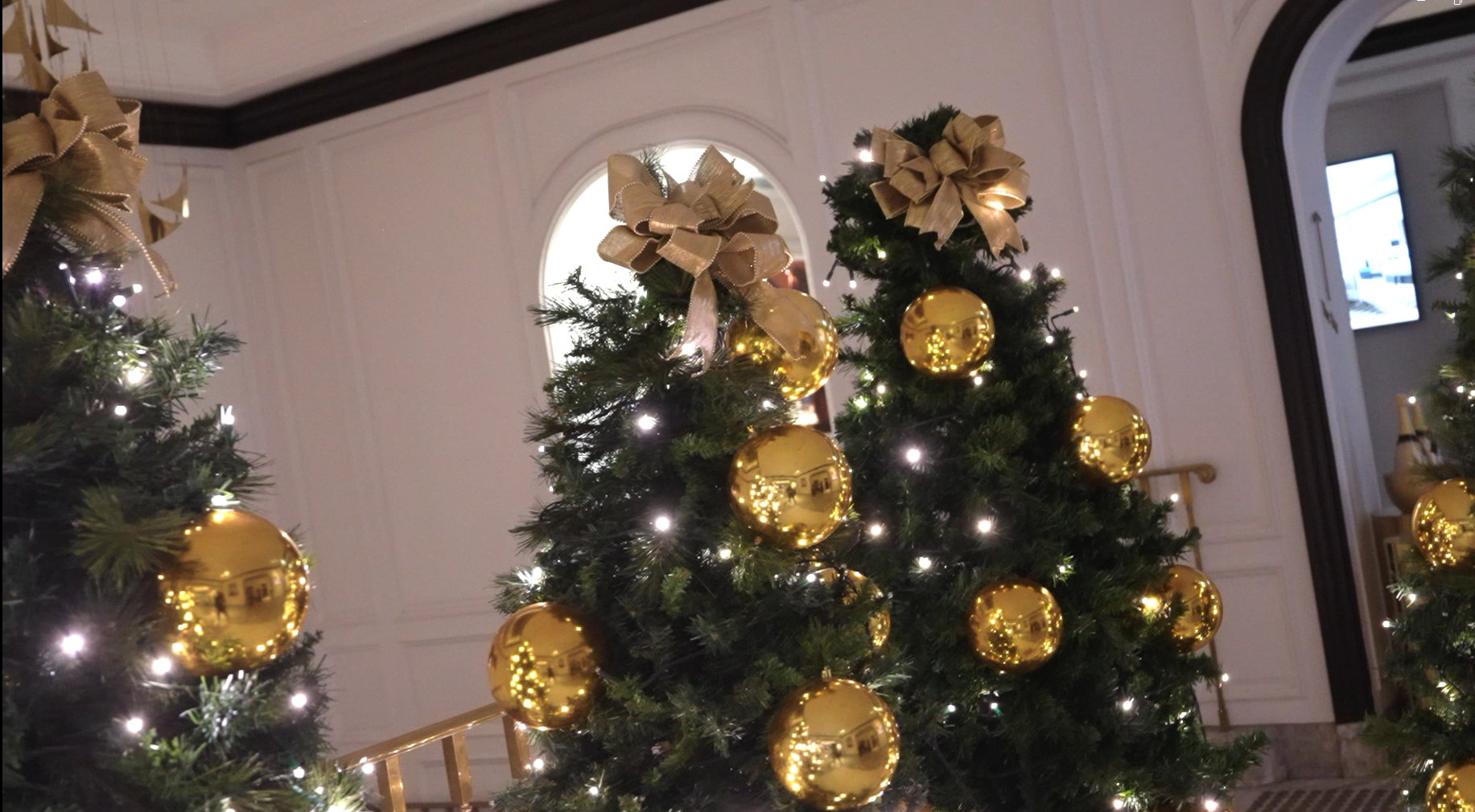 A grand festive scene at InterContinental Sydney Double Bay showcasing a regal white and gold tufted armchair nestled among brilliant, warm-lit Christmas trees draped in metallic gold ornaments.