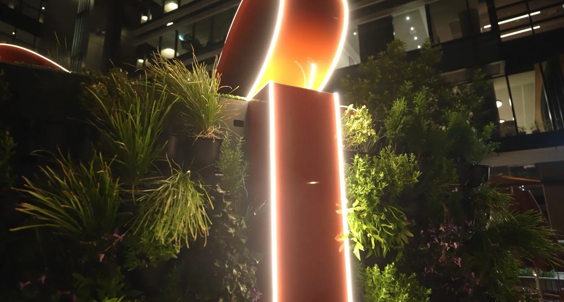 Living plant installations shaped into minimalist holiday cubes with cascading red ribbons, creating a sustainable Christmas atmosphere at Darling Quarter.