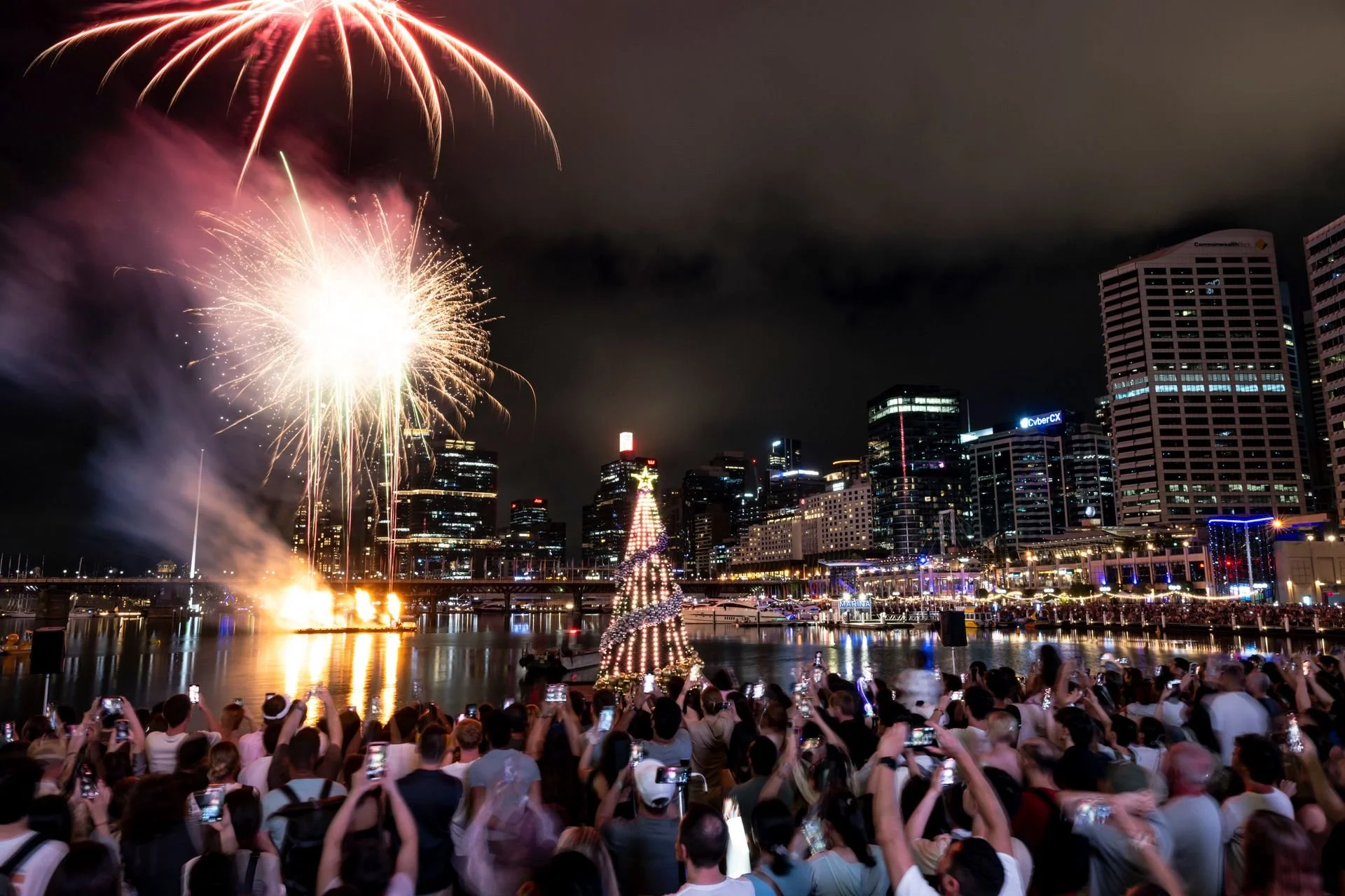 Darling-Harbour-Floating-Christmas-Tree-Majestic-Holiday-Setup.jpeg