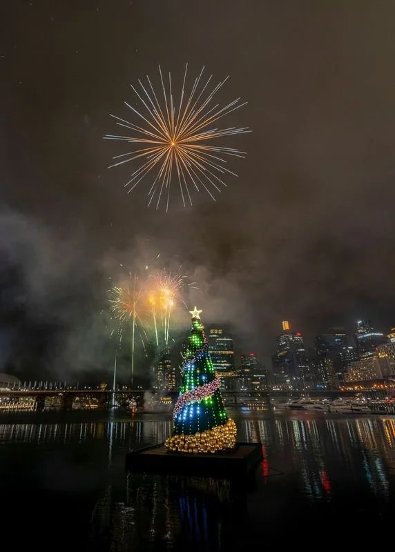 Darling-Harbour-Floating-Christmas-Tree-Sparkling-Holiday-Lights.jpeg