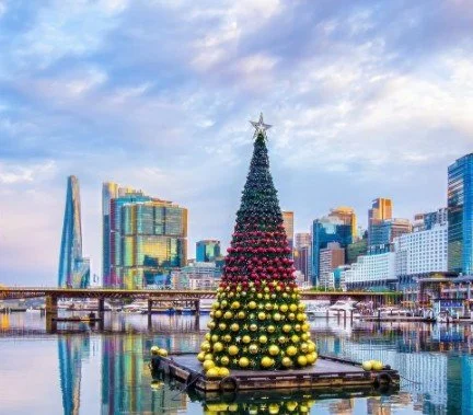An eye-level shot of a grand Christmas tree glowing under a vibrant display of holiday magic.