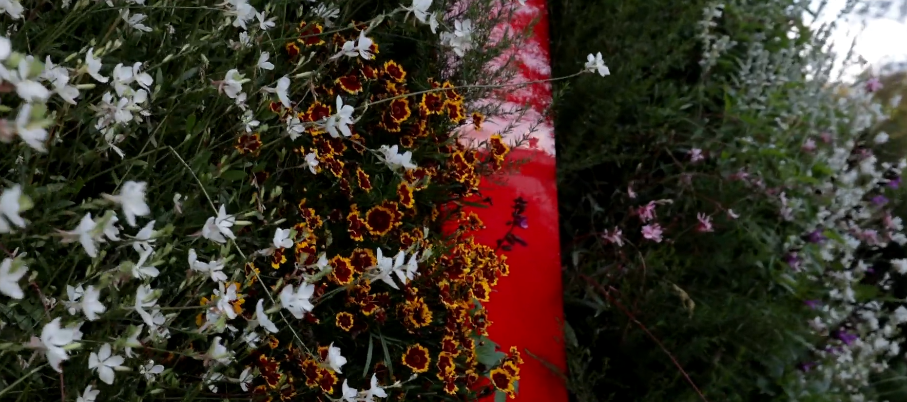 glamorous-christmas-design-worldwide-darling-quarter.png