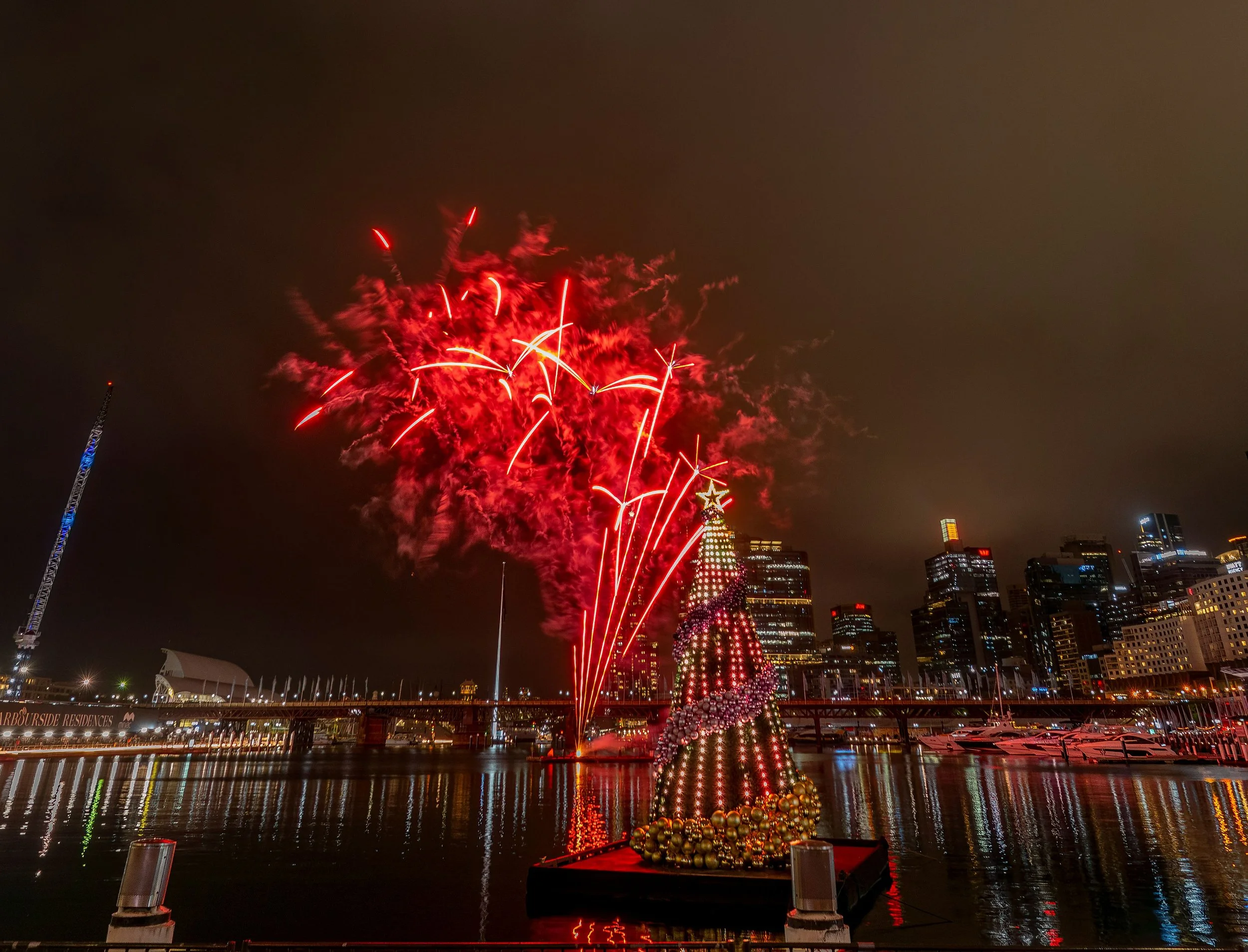 Darling-Harbour-Floating-Christmas-Tree-Professional-Xmas-Installation-Sydney.jpeg