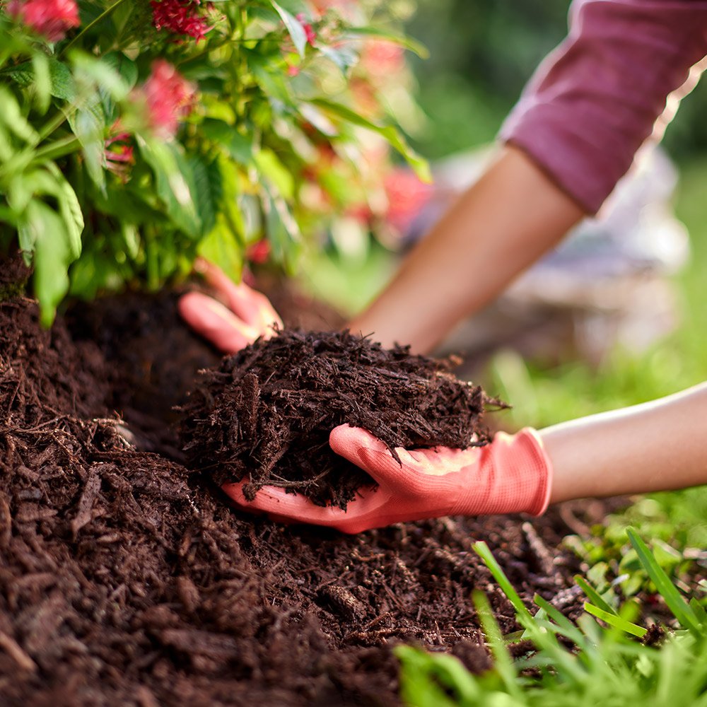 mulch.jpg