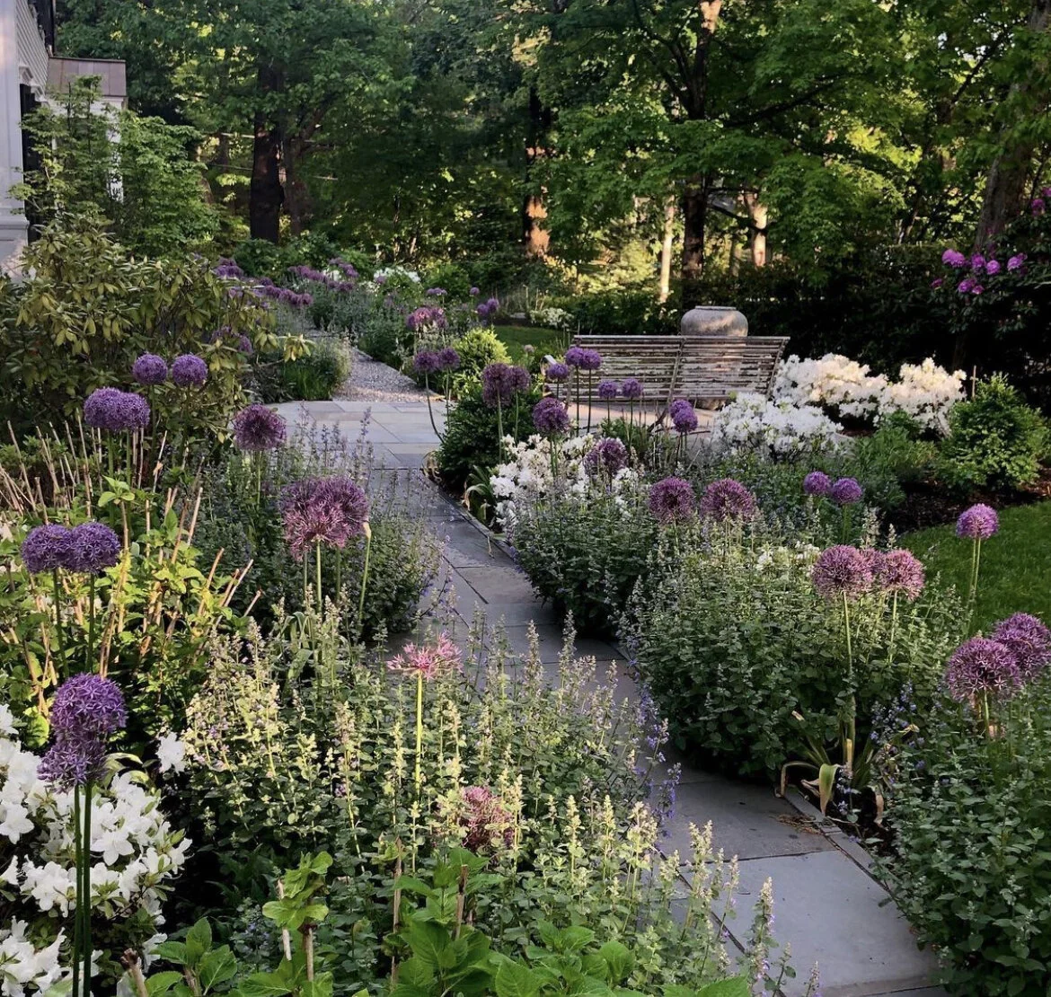 Private residence site photo - front garden walk