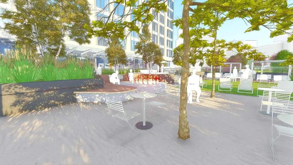 Fire Pit and Shade Bosque Model