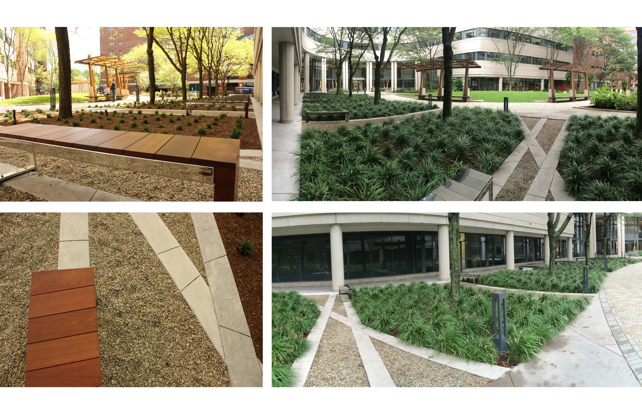 Charles Park 2.jpg