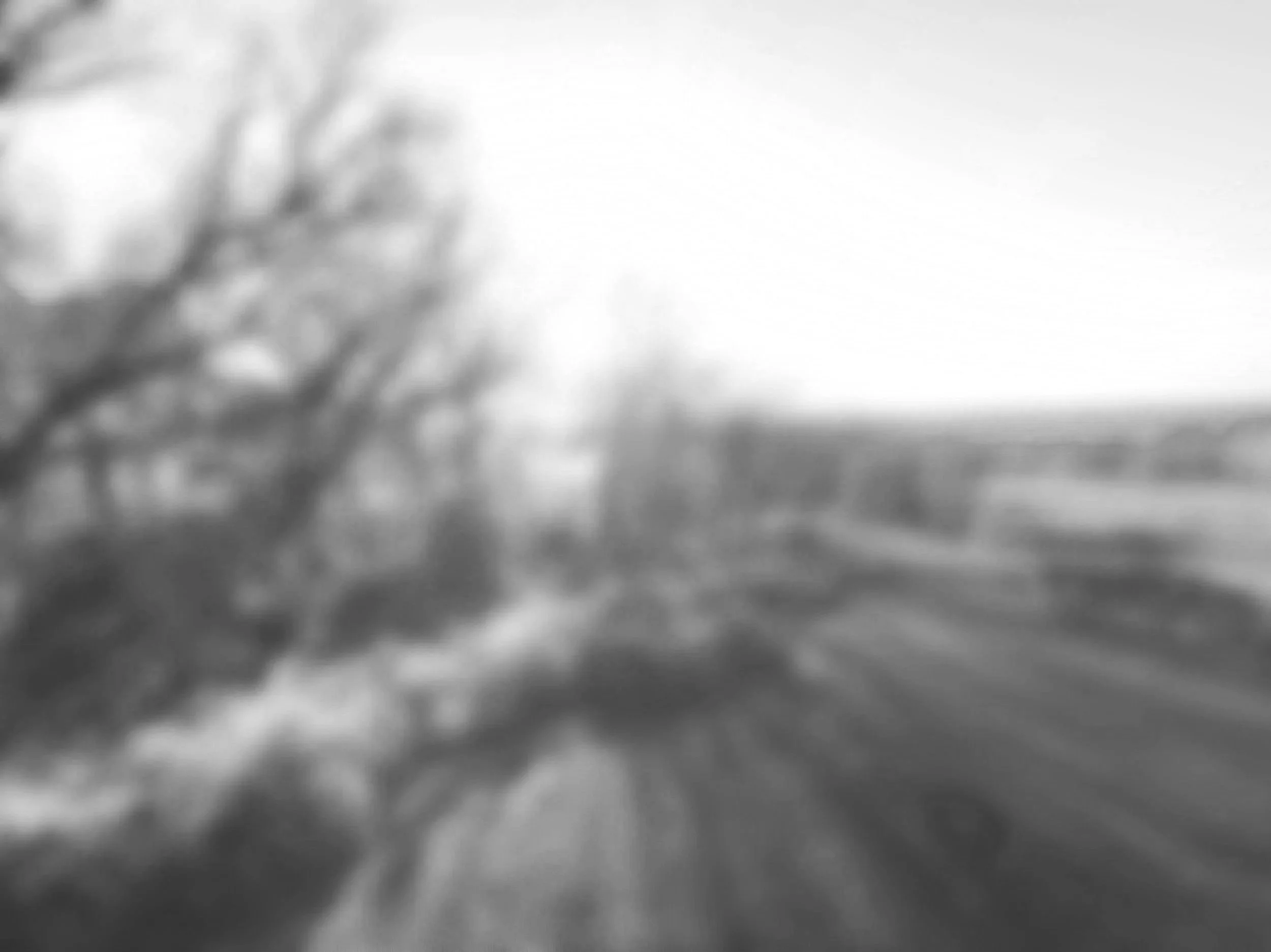 Abstract blurred grayscale image with indistinct shapes and soft gradients