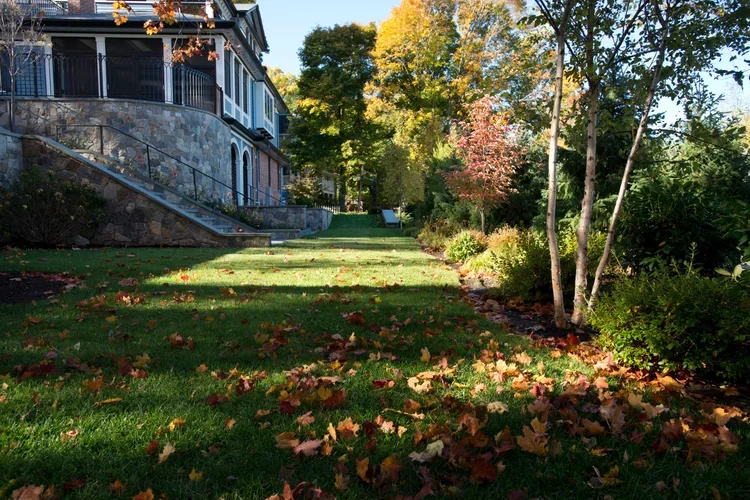 Private residence site photo- lower lawn terrace