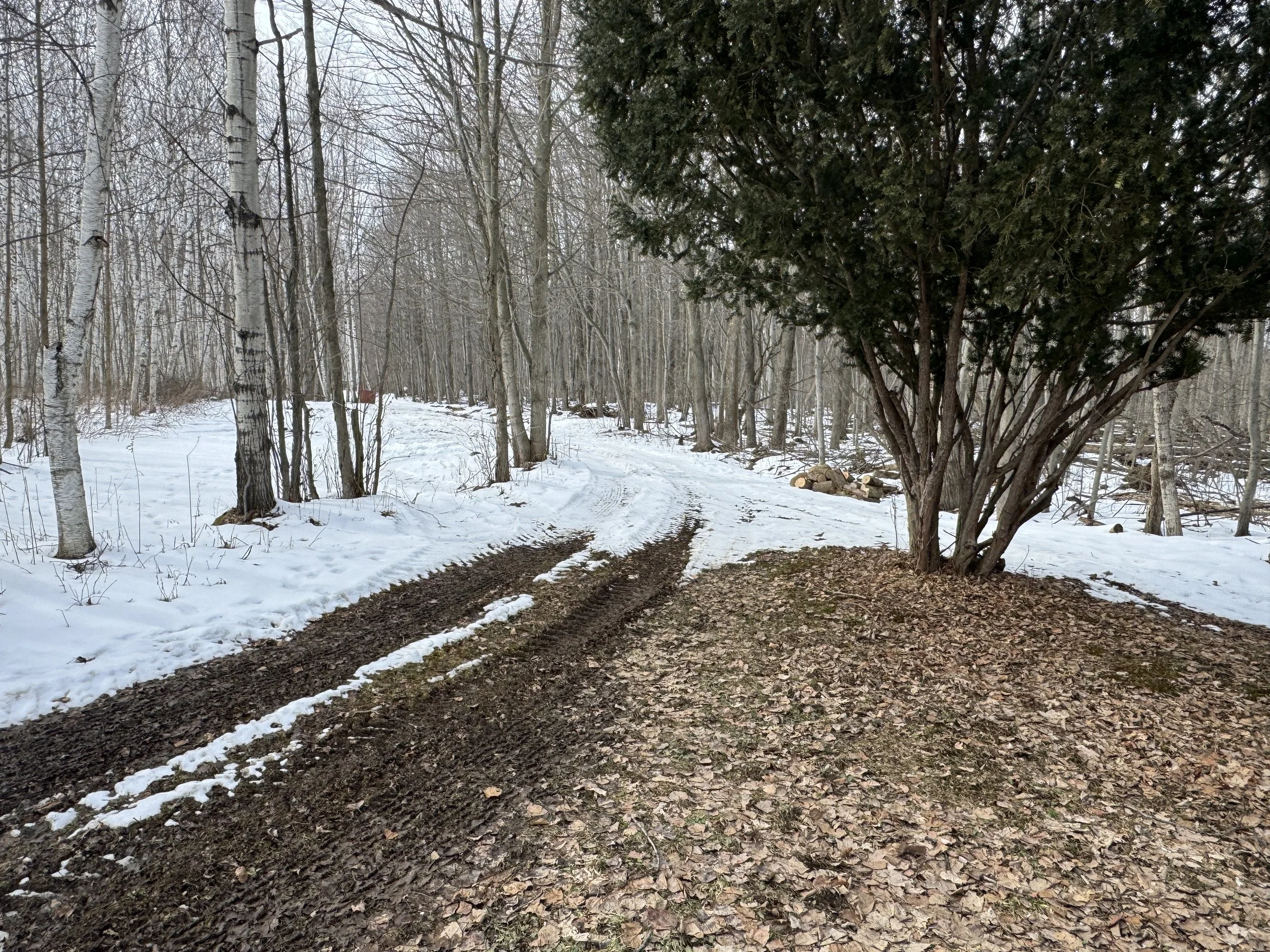 19.57 Acres Vacant Land with Pole Barn. 