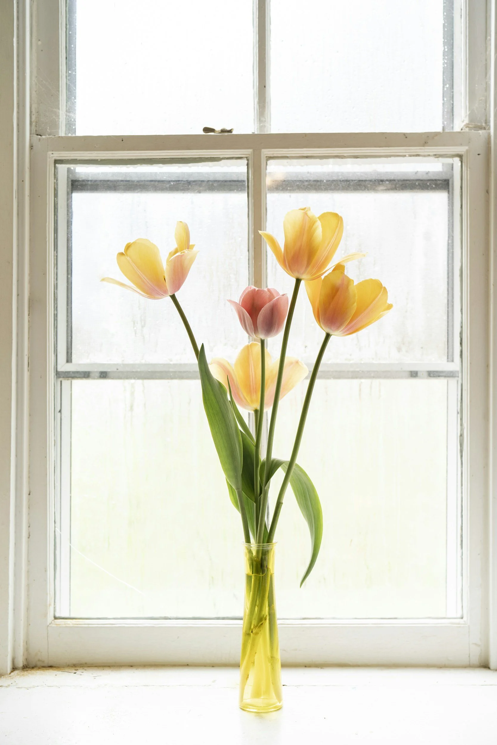 Is Late May the Best Time To List Your House?