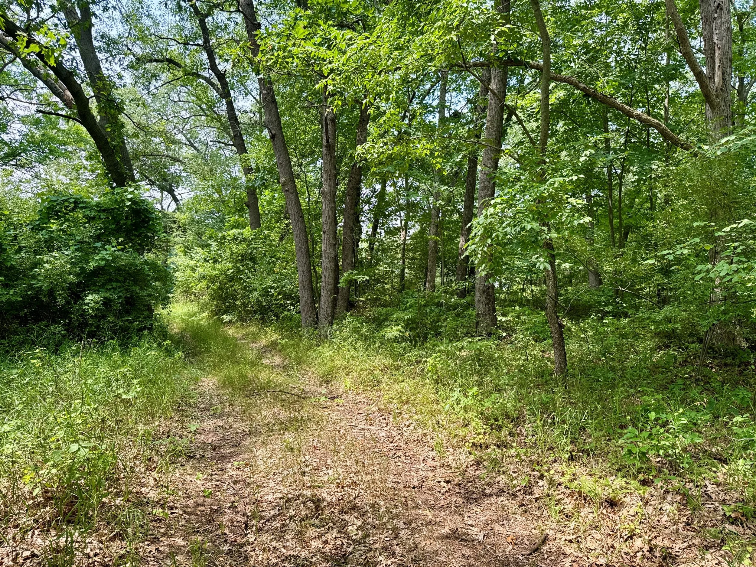 6652 Champagne Rd. Vacant Land