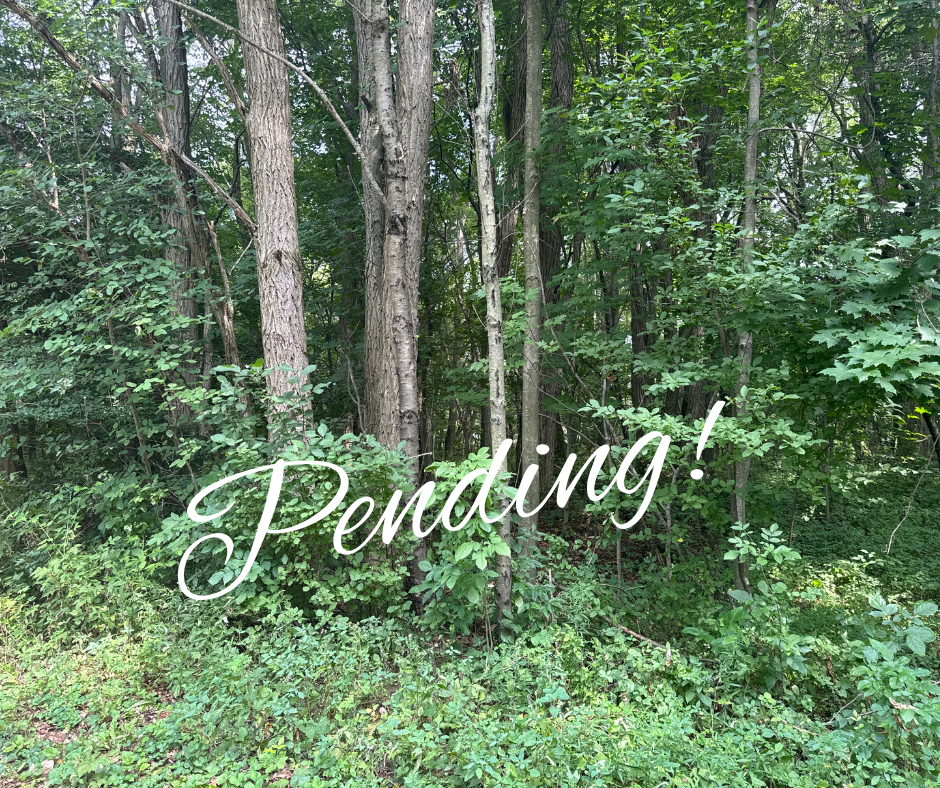 Tip-O-Thumb Subdivision Water Access Vacant Land