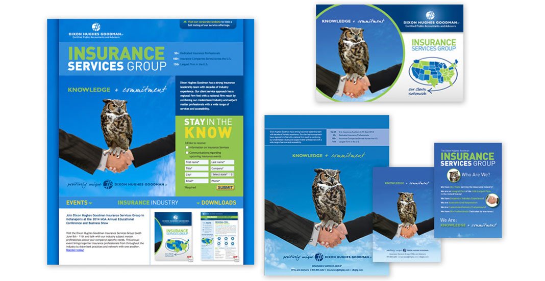 Collateral for Dixon Hughes Goodman Insurance Services Group, including flyers, business cards, and brochures featuring an owl on a person's hand, with blue and green branding.