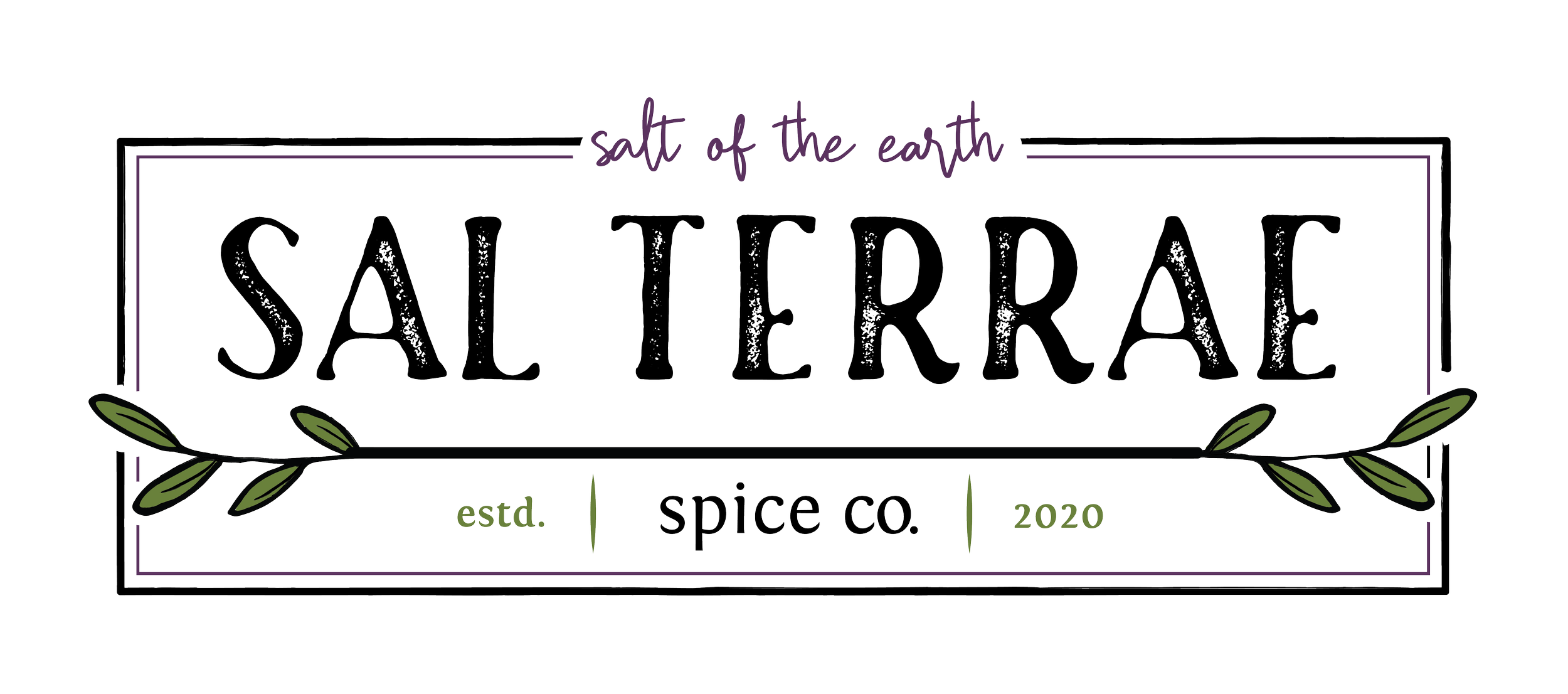 A black background with a hand-drawn style logo for Salt of the Earth Saltier. The logo features the words 'salt of the earth' in purple script at the top, and 'SALTYER' in large white block letters in the center. Below, there are small green words '