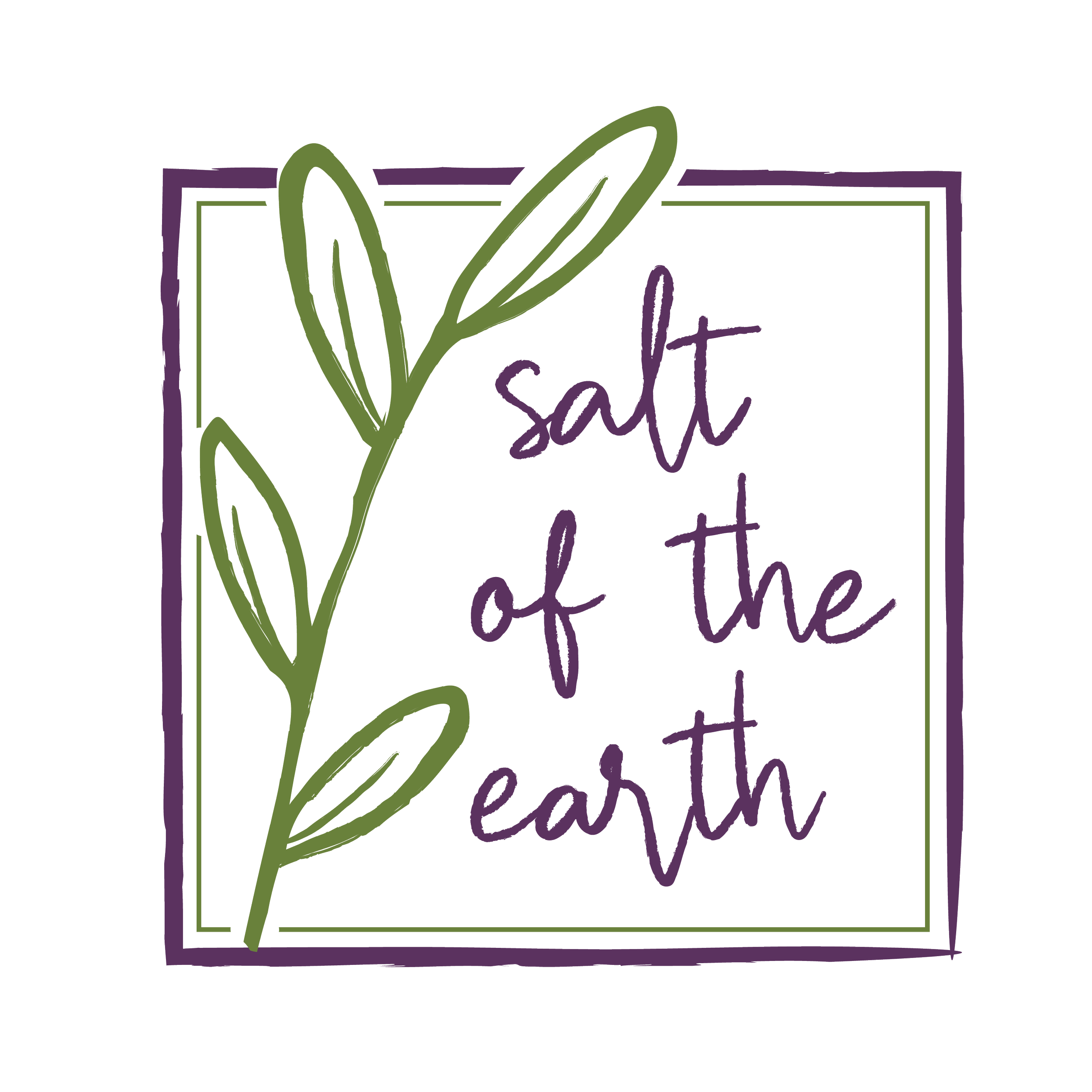 Hand-drawn illustration with a green olive branch and purple text that reads 'salt of the earth' inside a purple square outline.