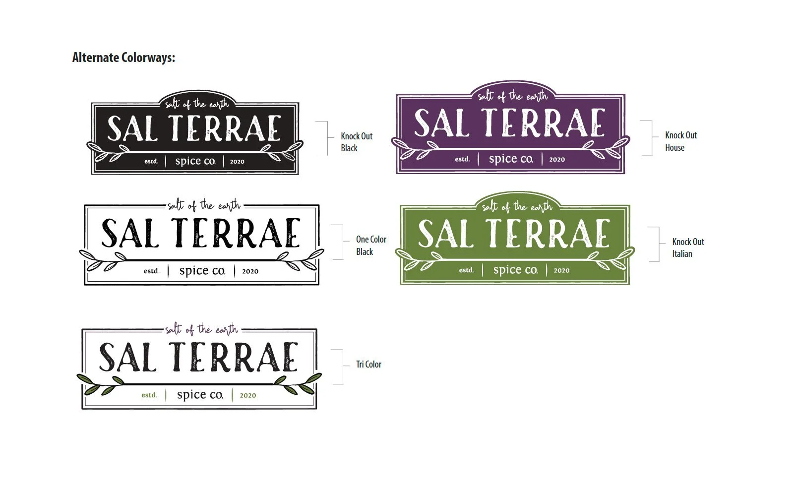 Color variations of the brand logo for SALT TERRAE with different background and text colors, including black, purple, green, and white, each with different label styles.