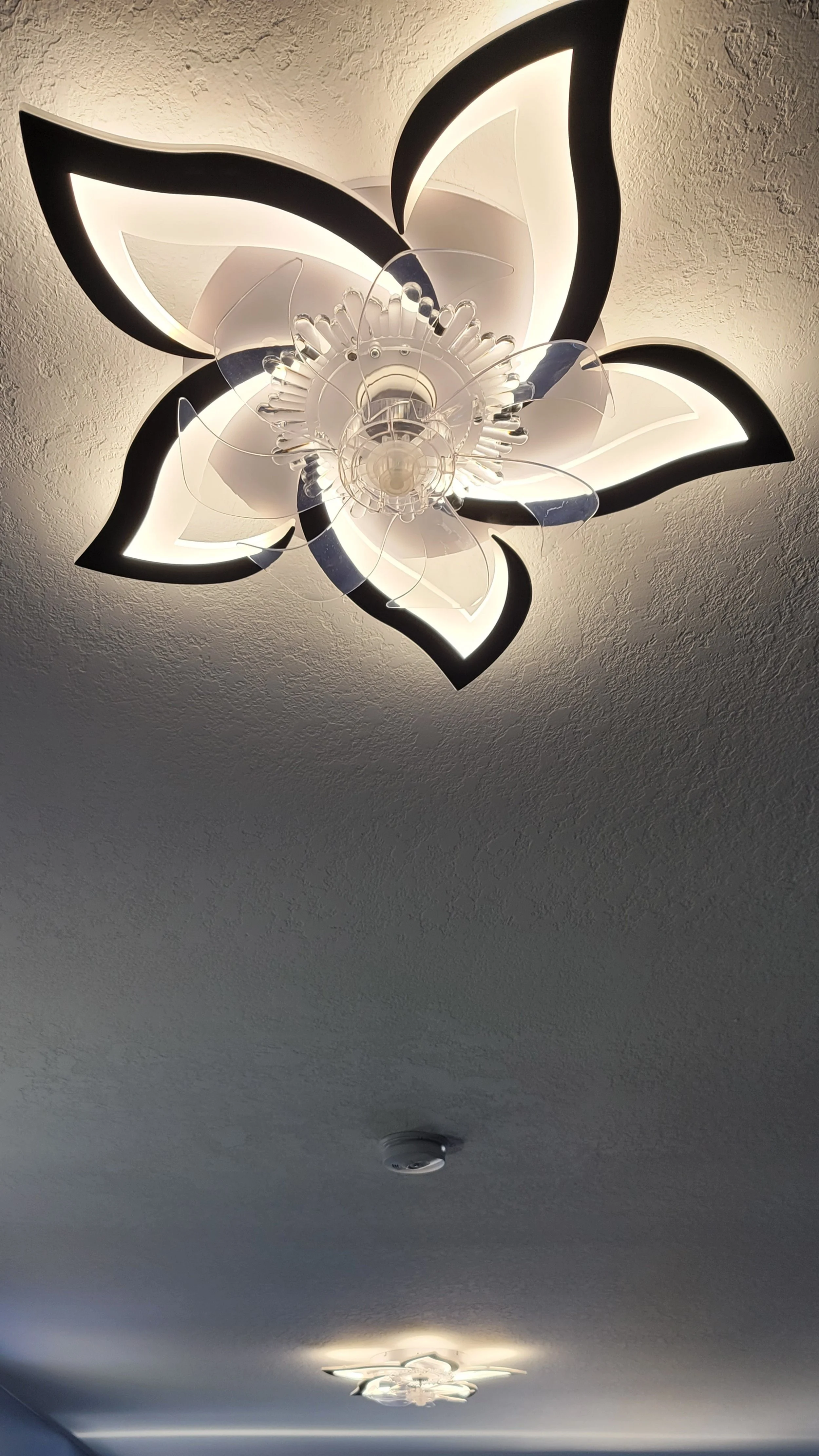 20240413_144716.jpg