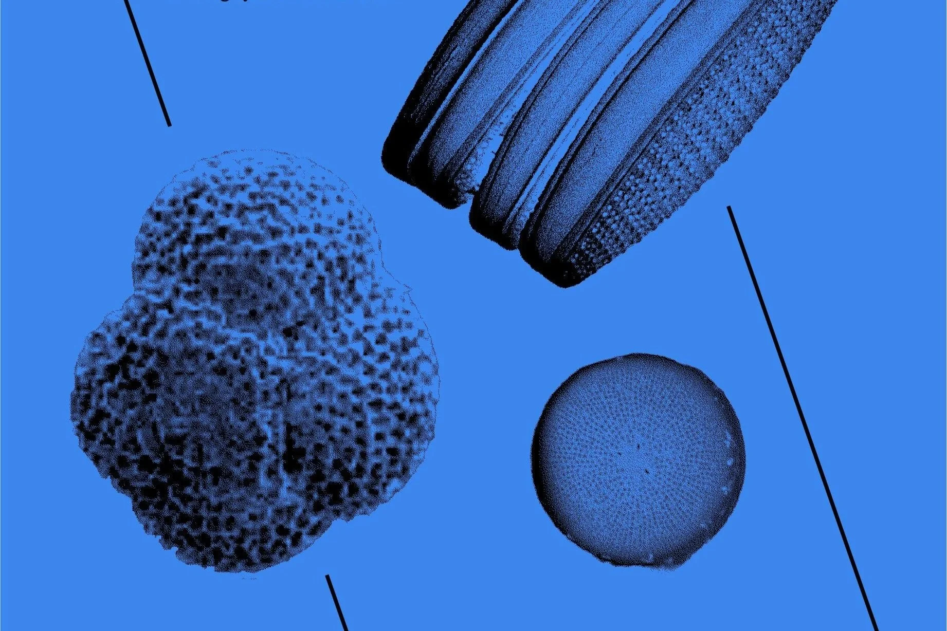 Infinite Fetch at Make Do Studios